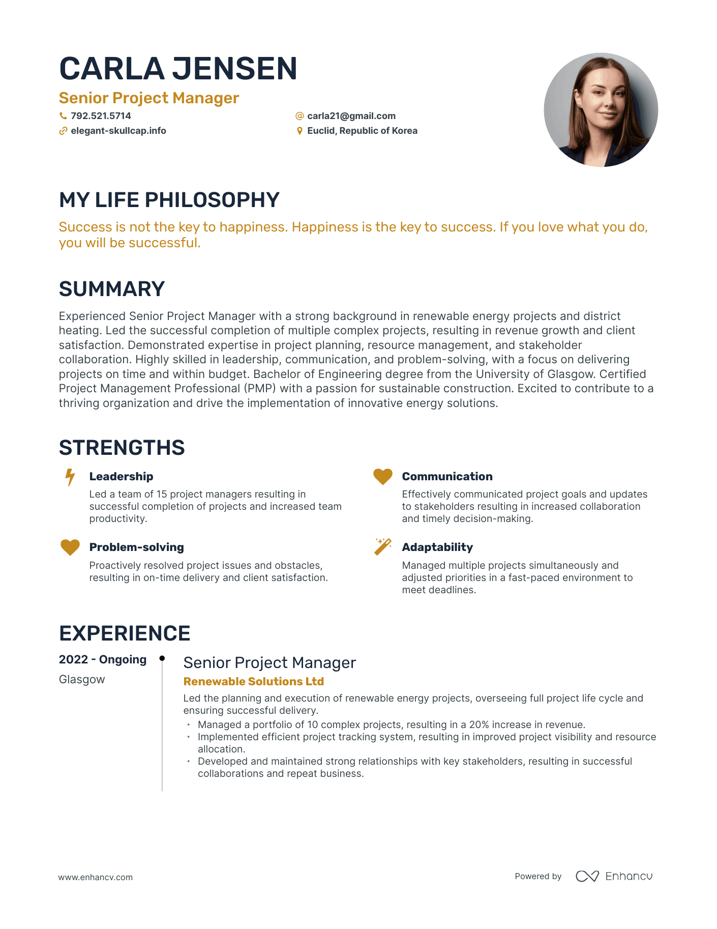 Creative Senior Project Manager Resume Example