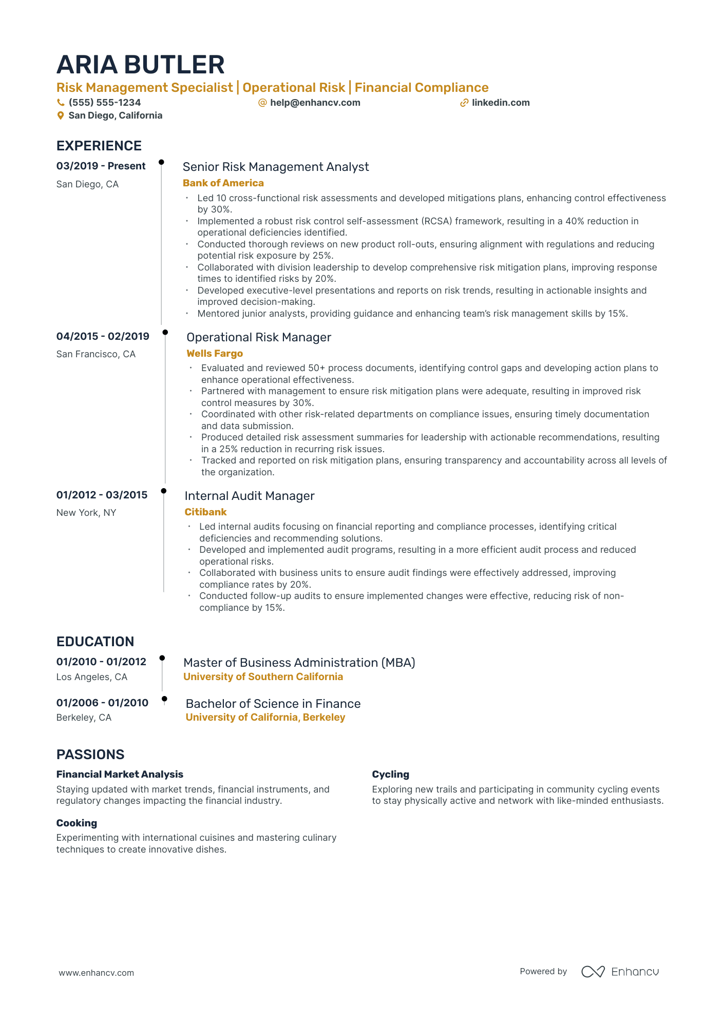 Junior Risk Analyst resume example