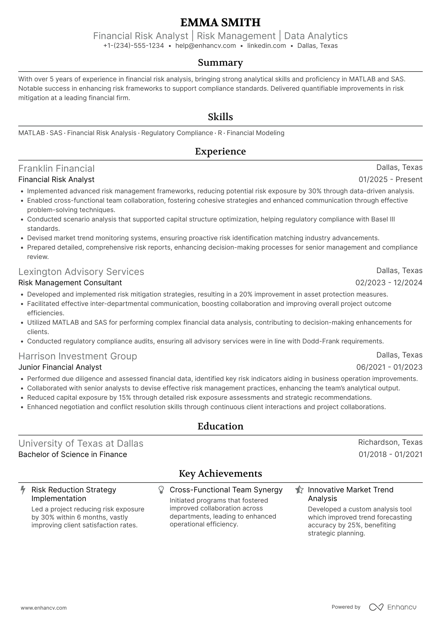Financial Risk Analyst resume example