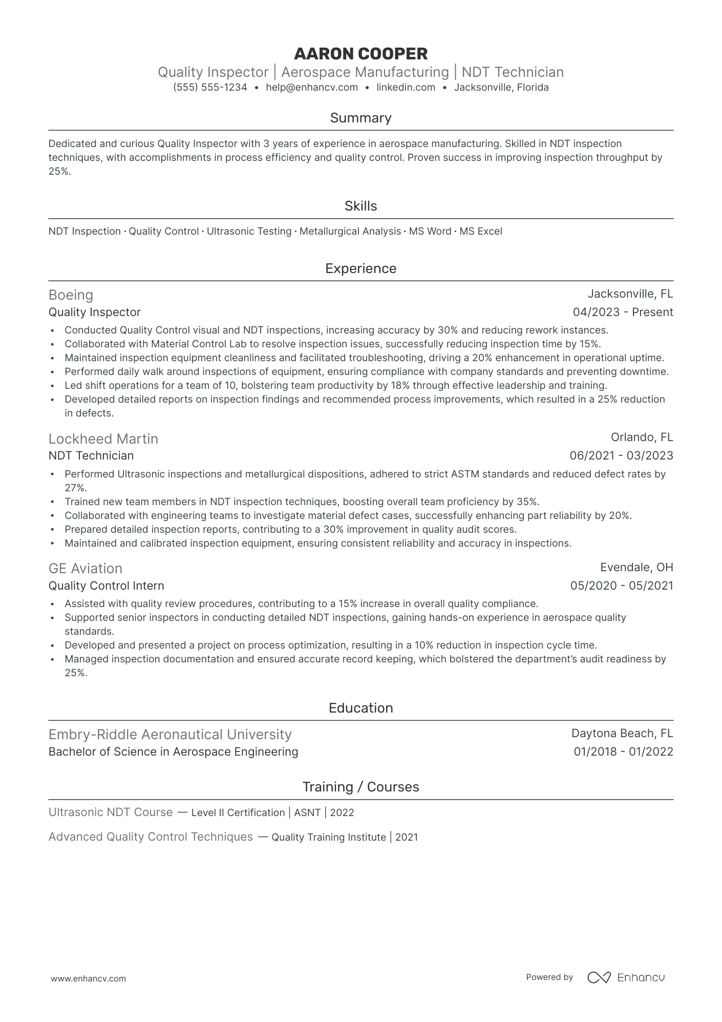 Lead Programmer resume example