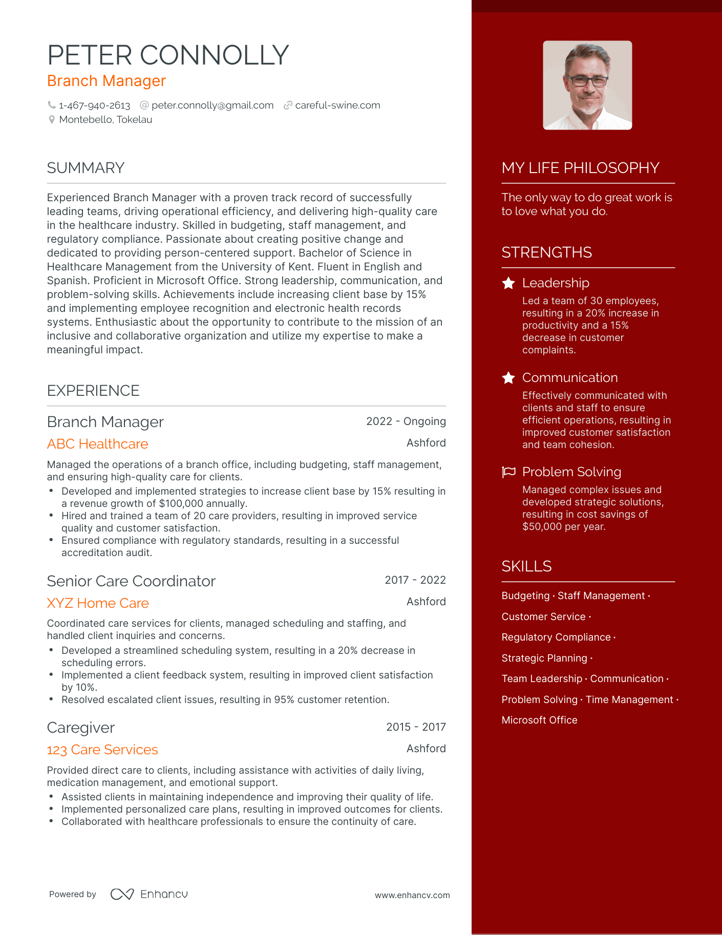 Modern Branch Manager Resume Example