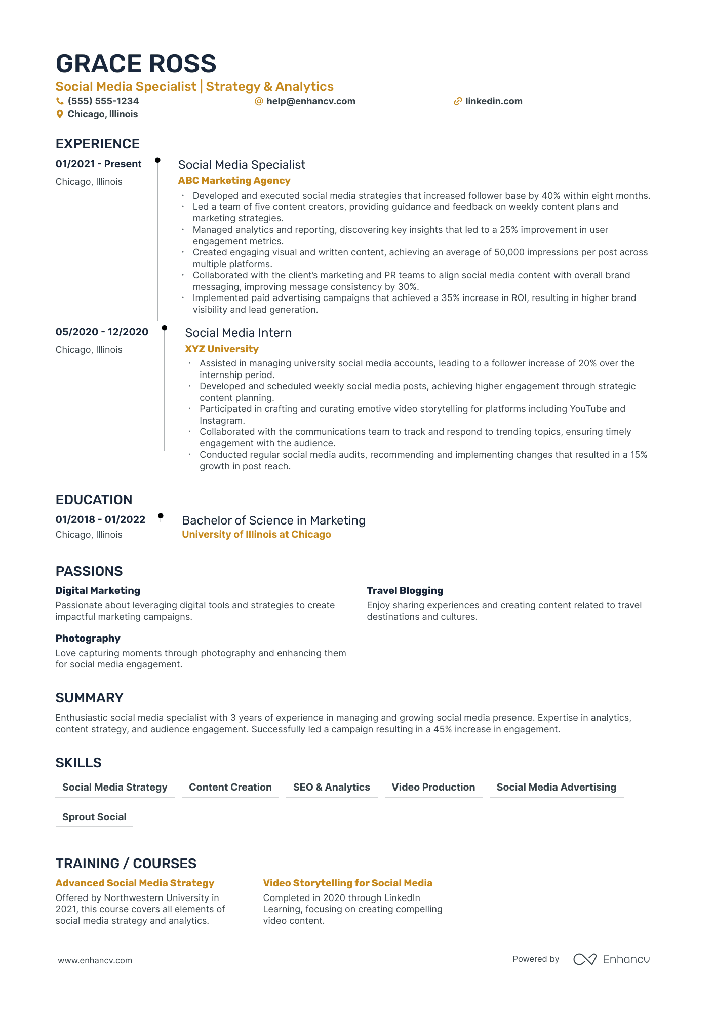 Creative Director of Social Media resume example