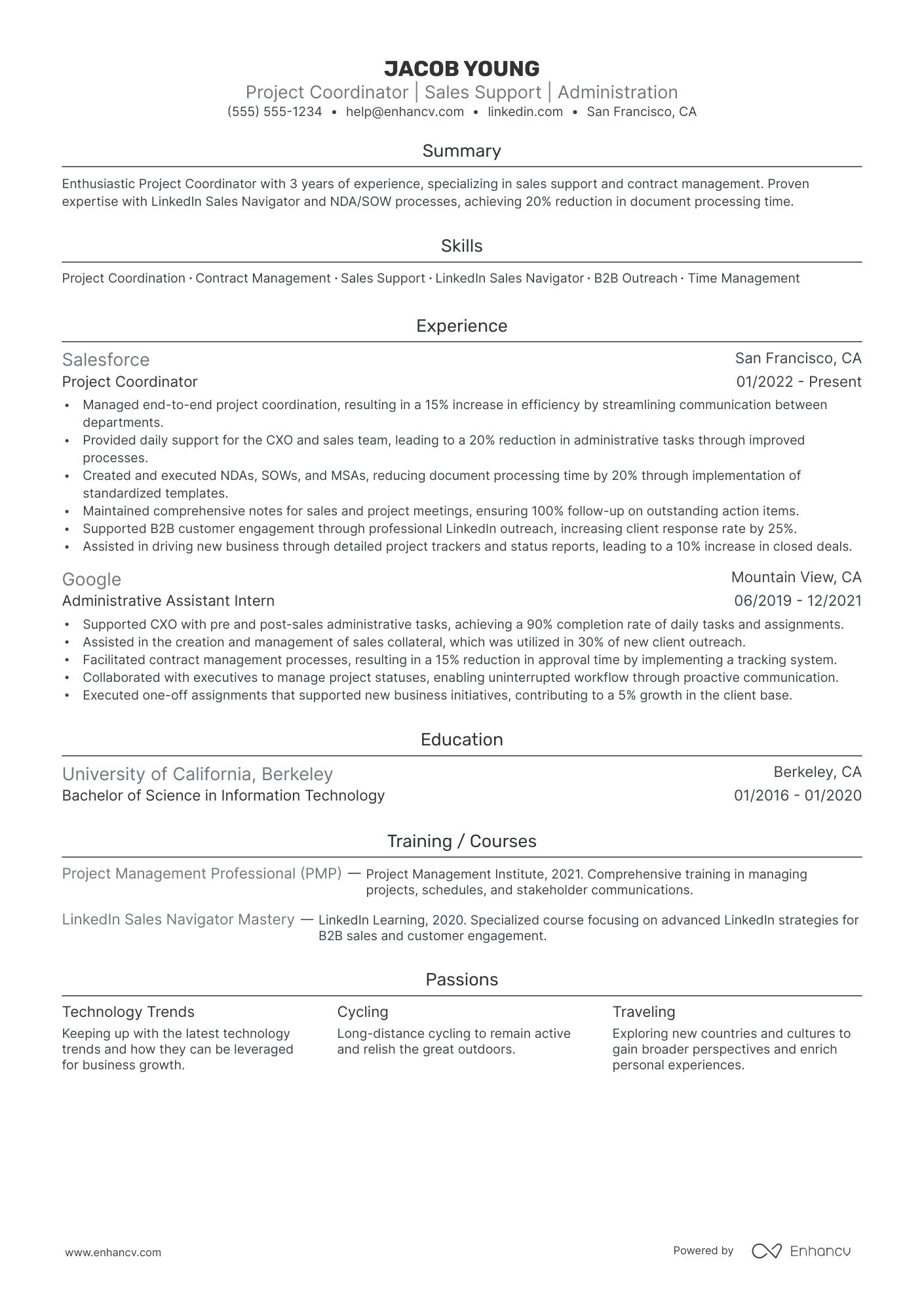 Software Development Project Coordinator resume example