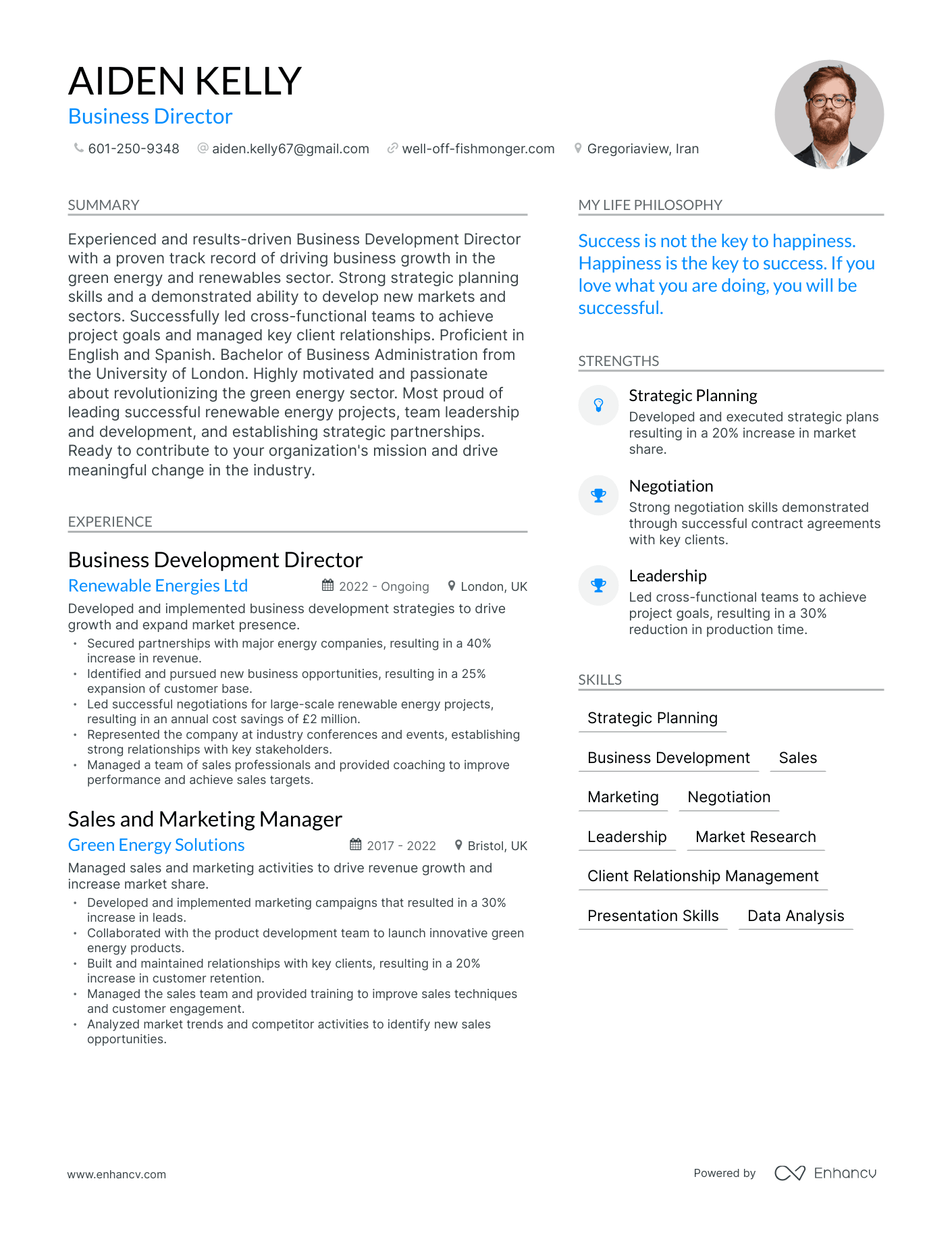 Business Director resume example