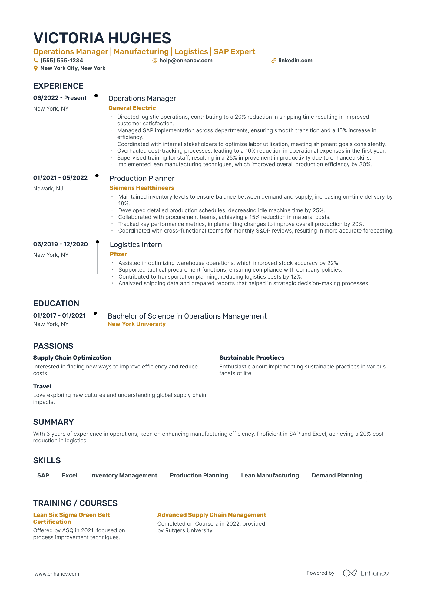 Operations Director of Logistics Resume Example Resume Example