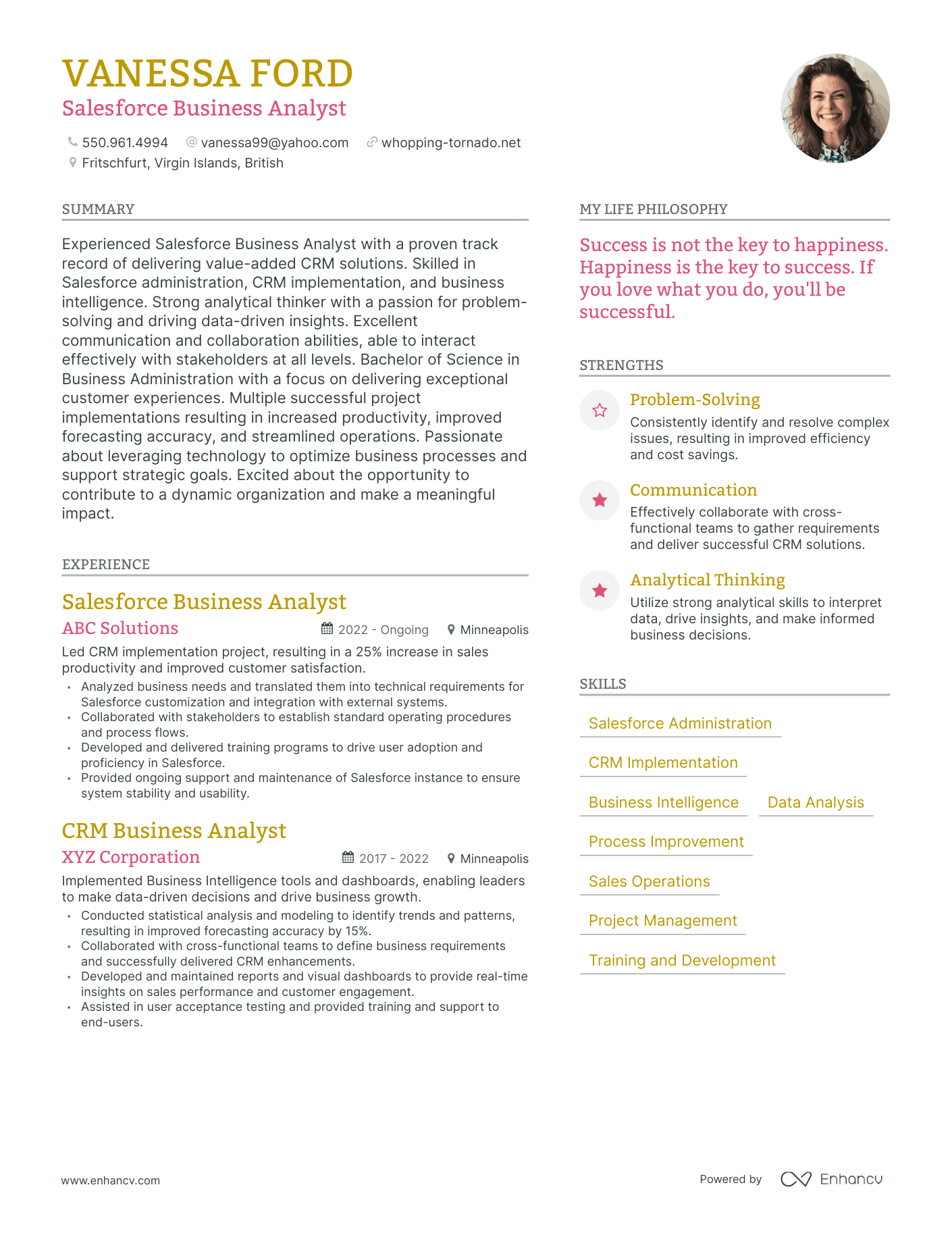 Salesforce Business Analyst resume example