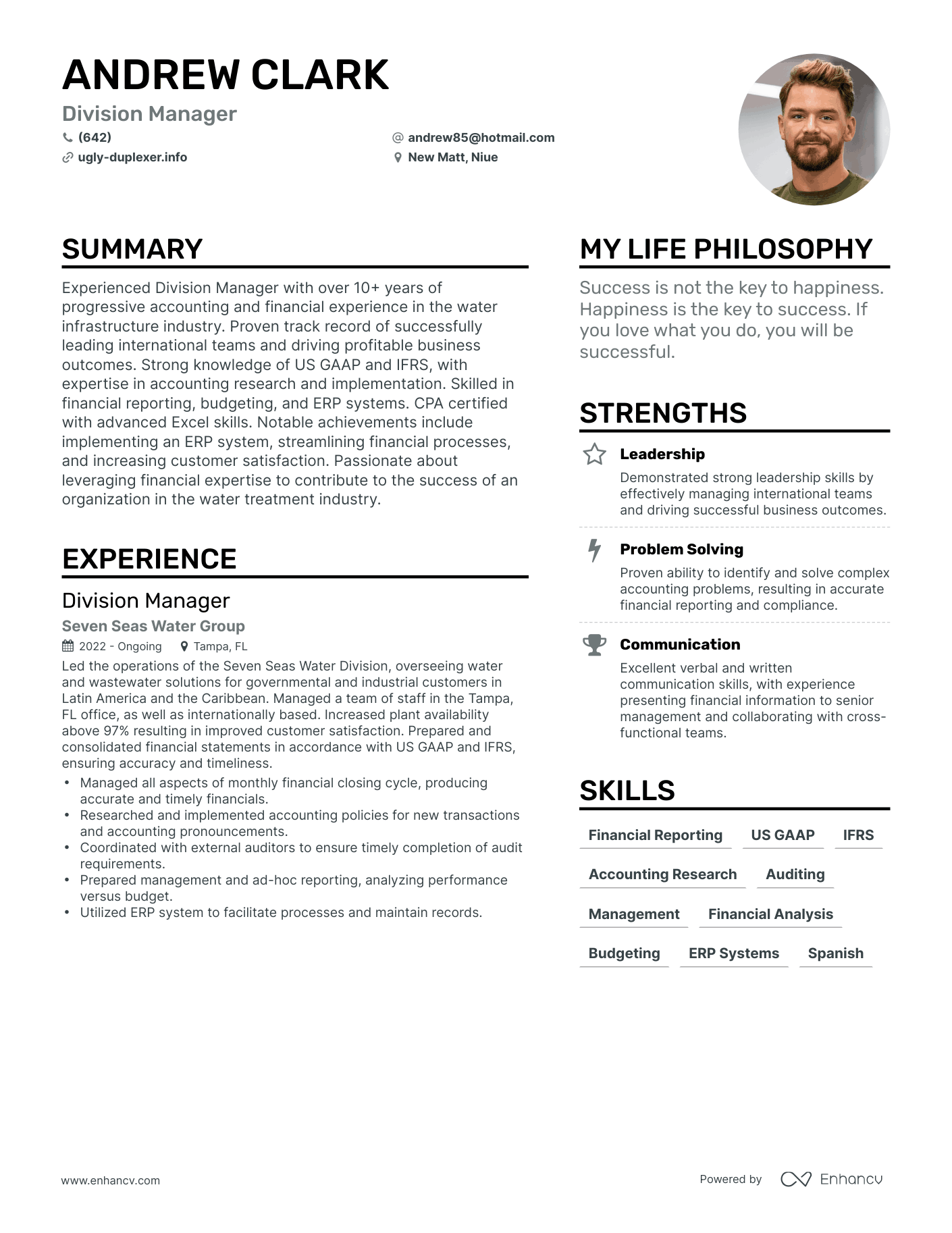 Division Manager resume example