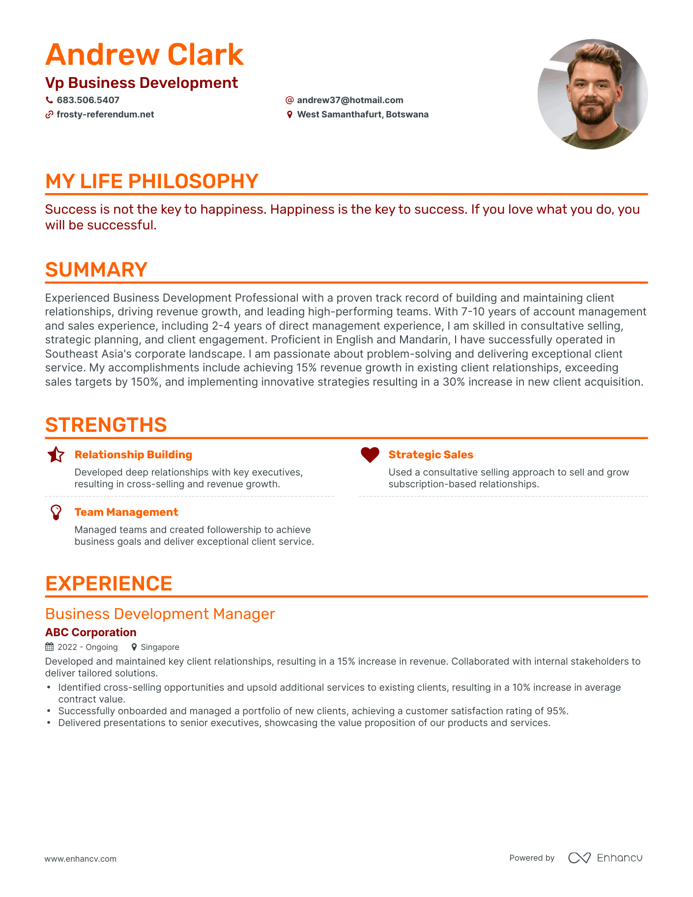 Creative Vp Business Development Resume Example