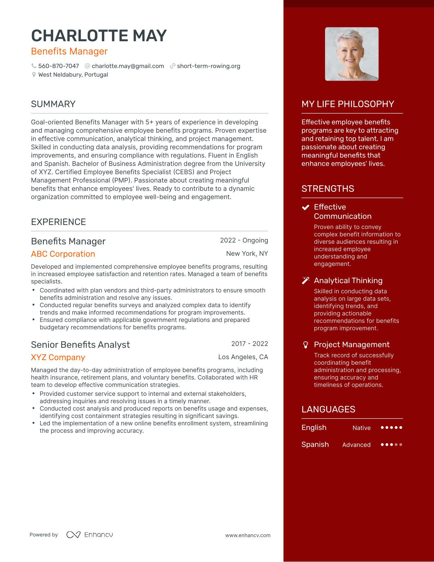 Modern Benefits Manager Resume Example