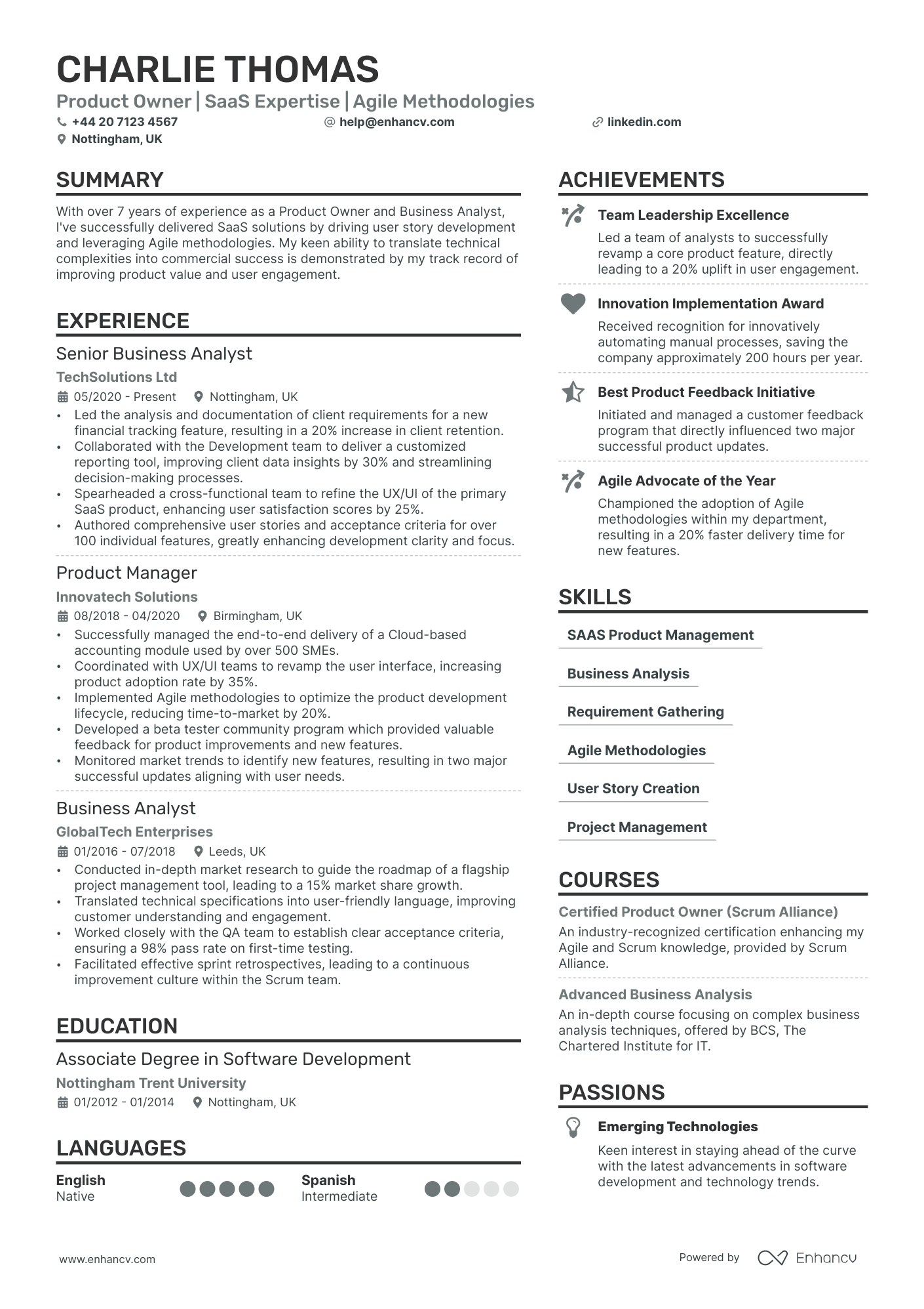 Product Owner cv example
