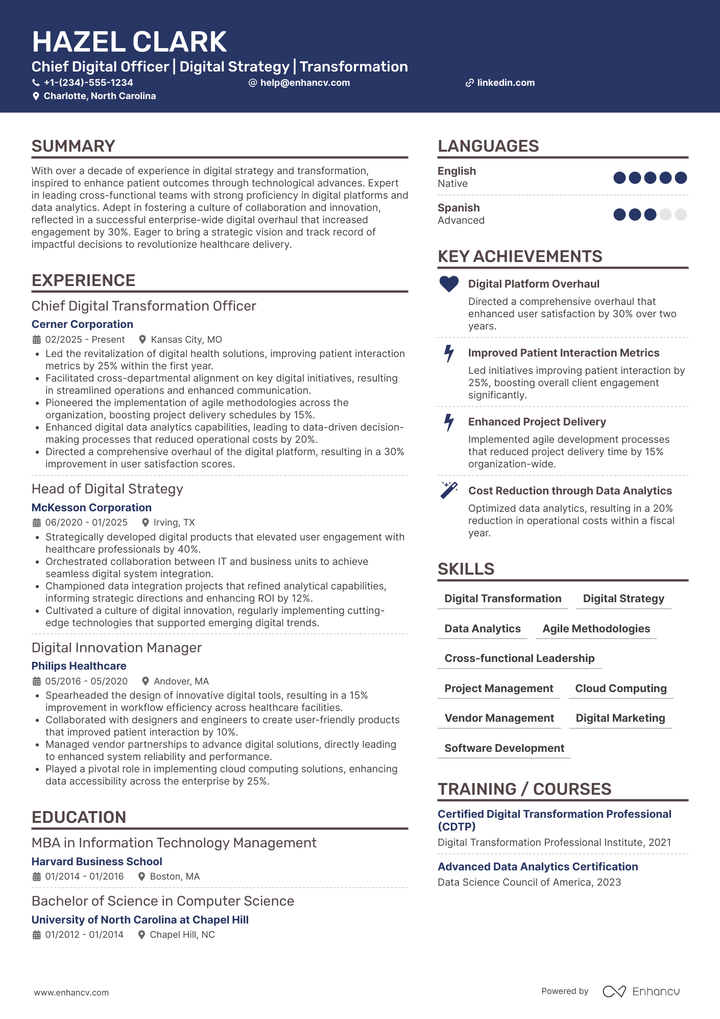 Chief Digital Officer resume example