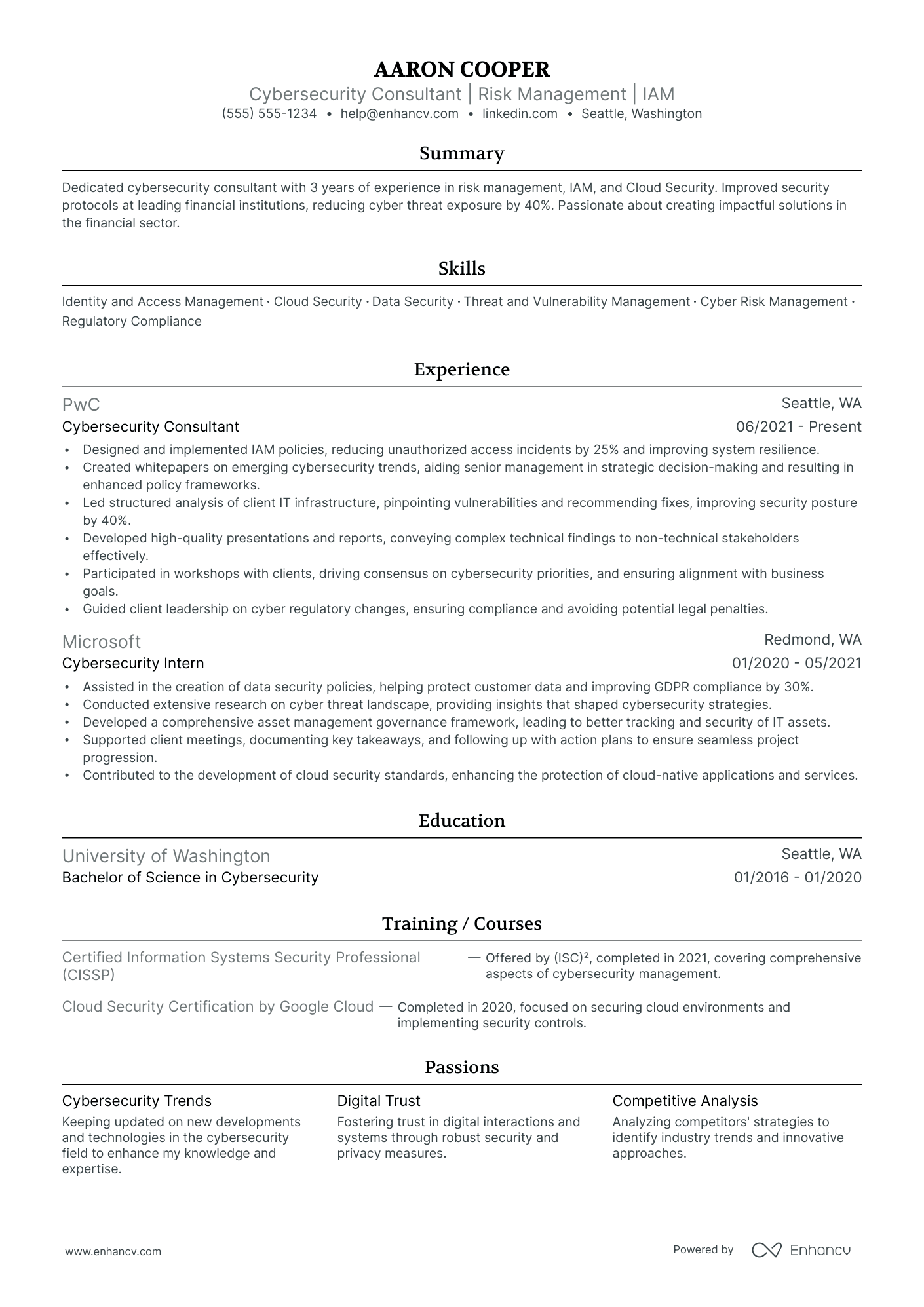 Cybersecurity Consultant resume example