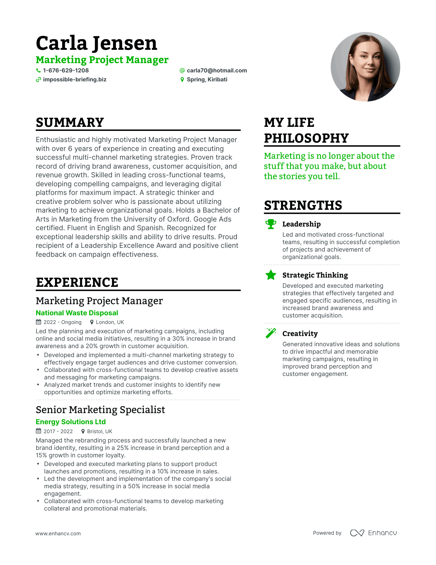 Marketing Project Manager resume example