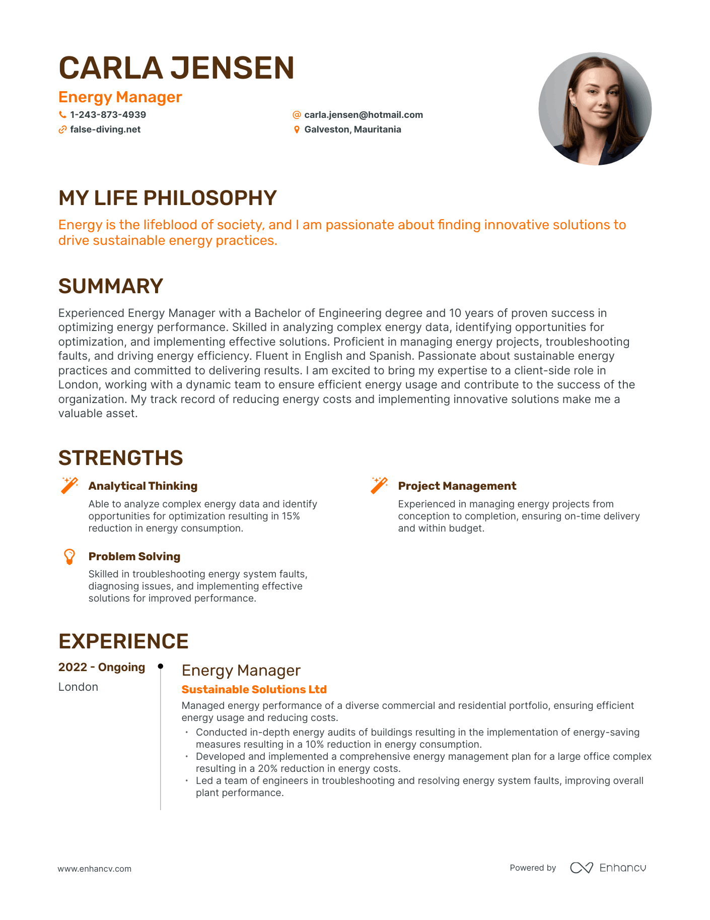 Creative Energy Manager Resume Example
