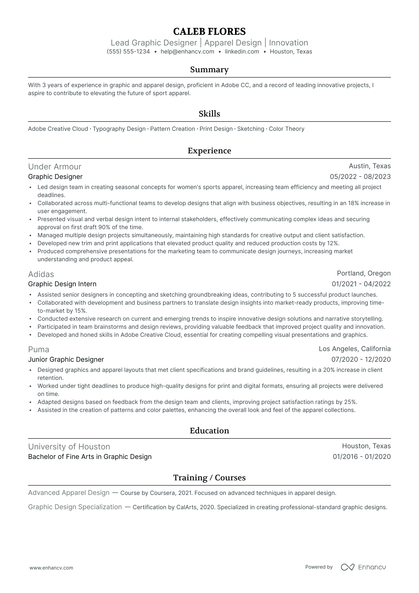 Lead Graphic Designer resume example