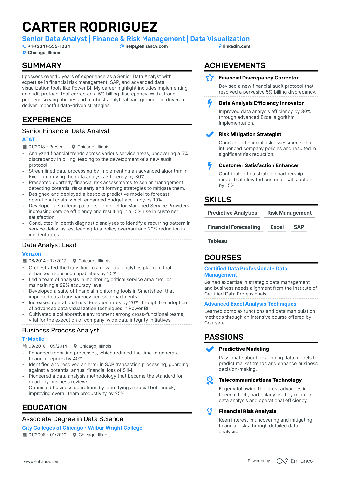 Financial Data Analyst resume example