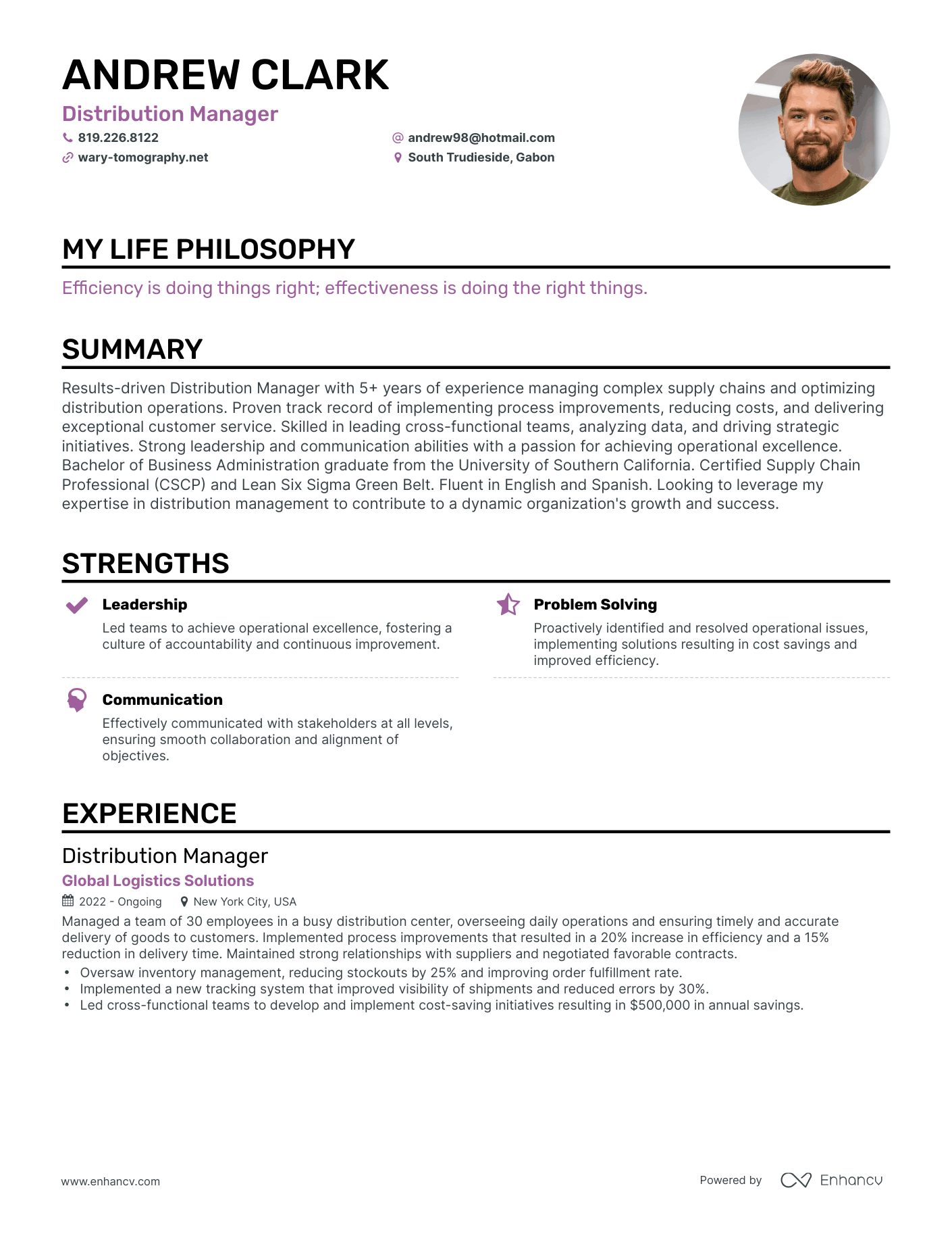 Creative Distribution Manager Resume Example