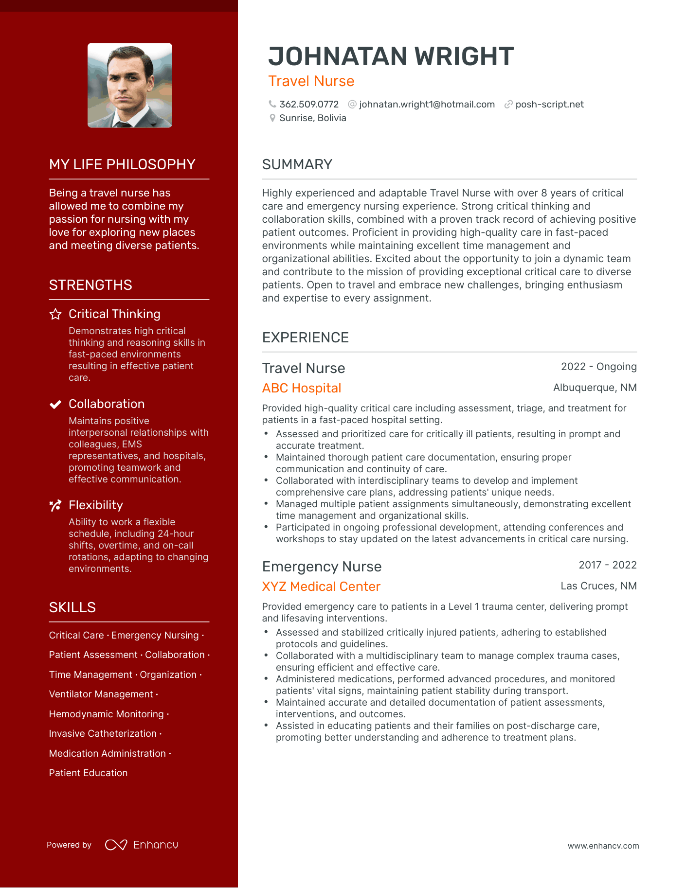Travel Nurse resume example