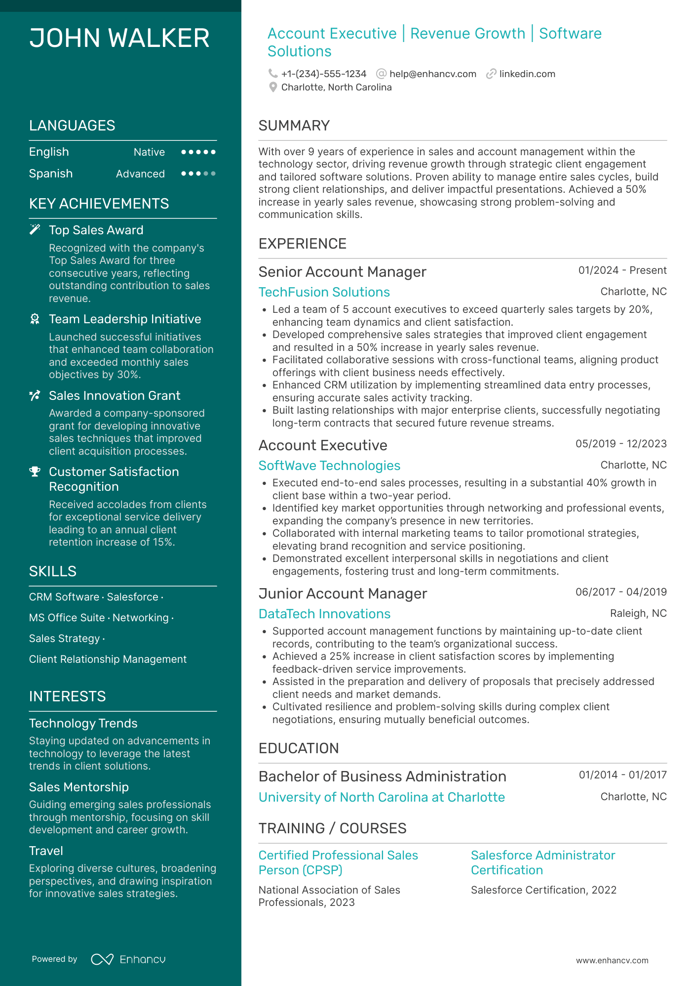 Account Executive resume example