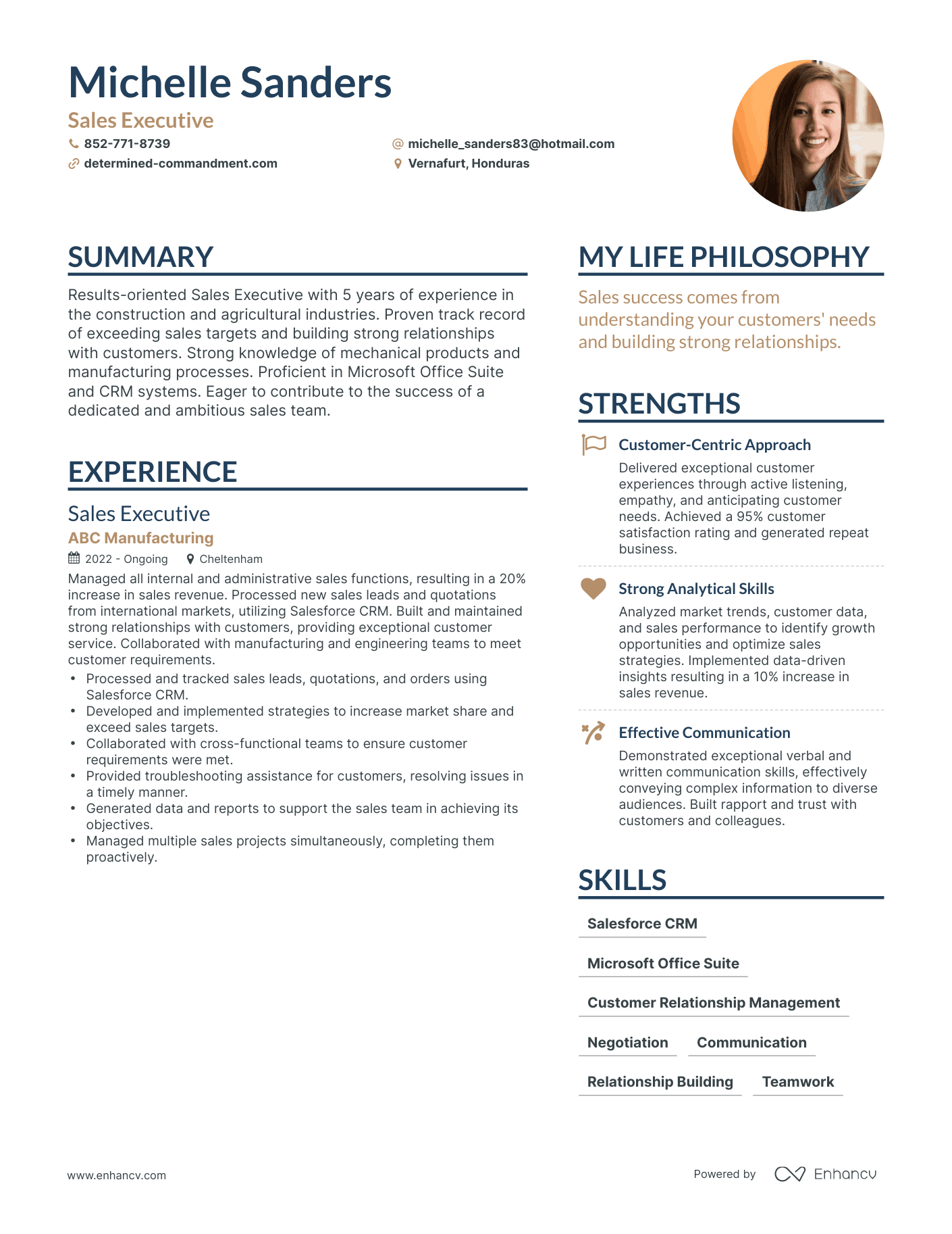 job description for sales executive for resume