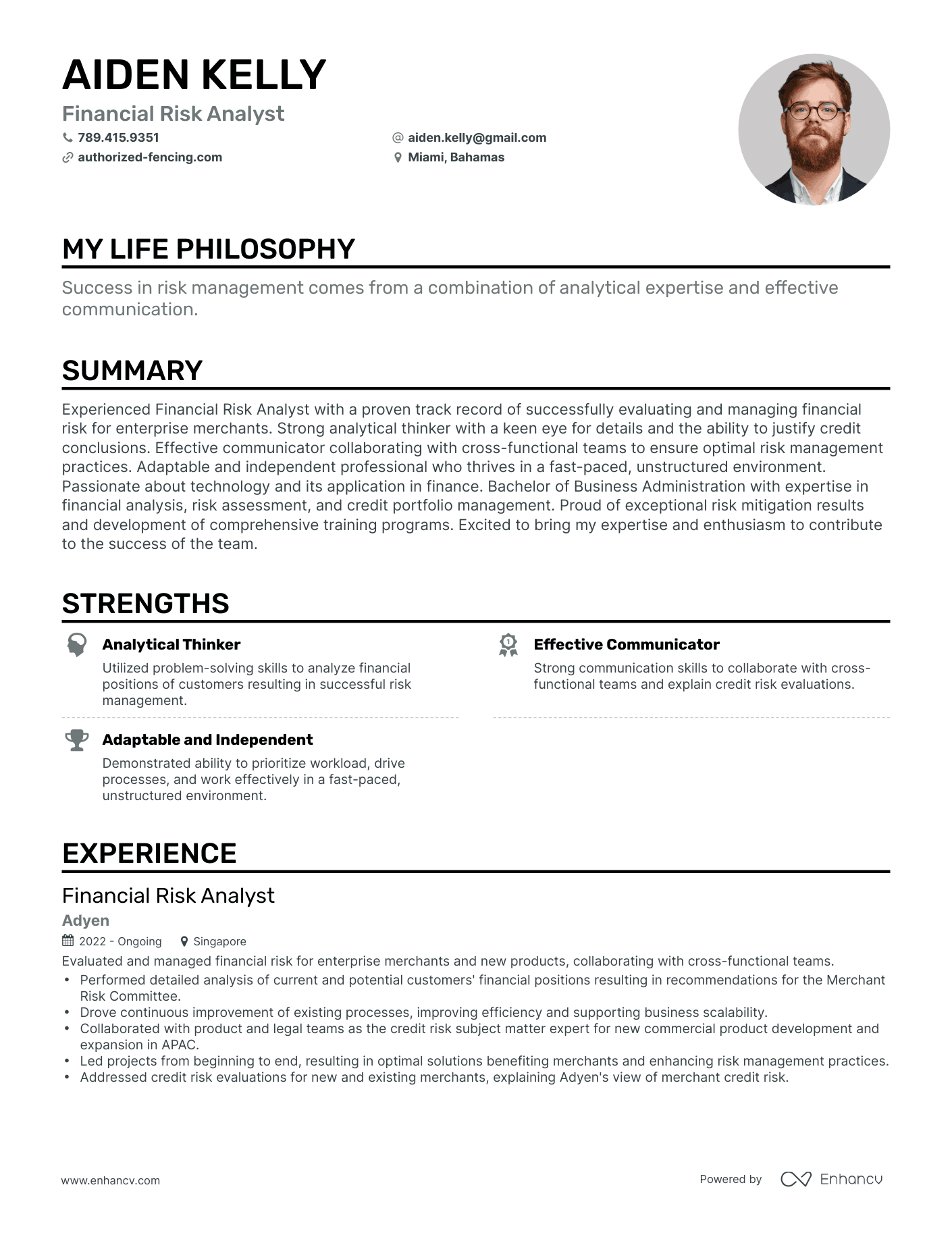 Creative Financial Risk Analyst Resume Example