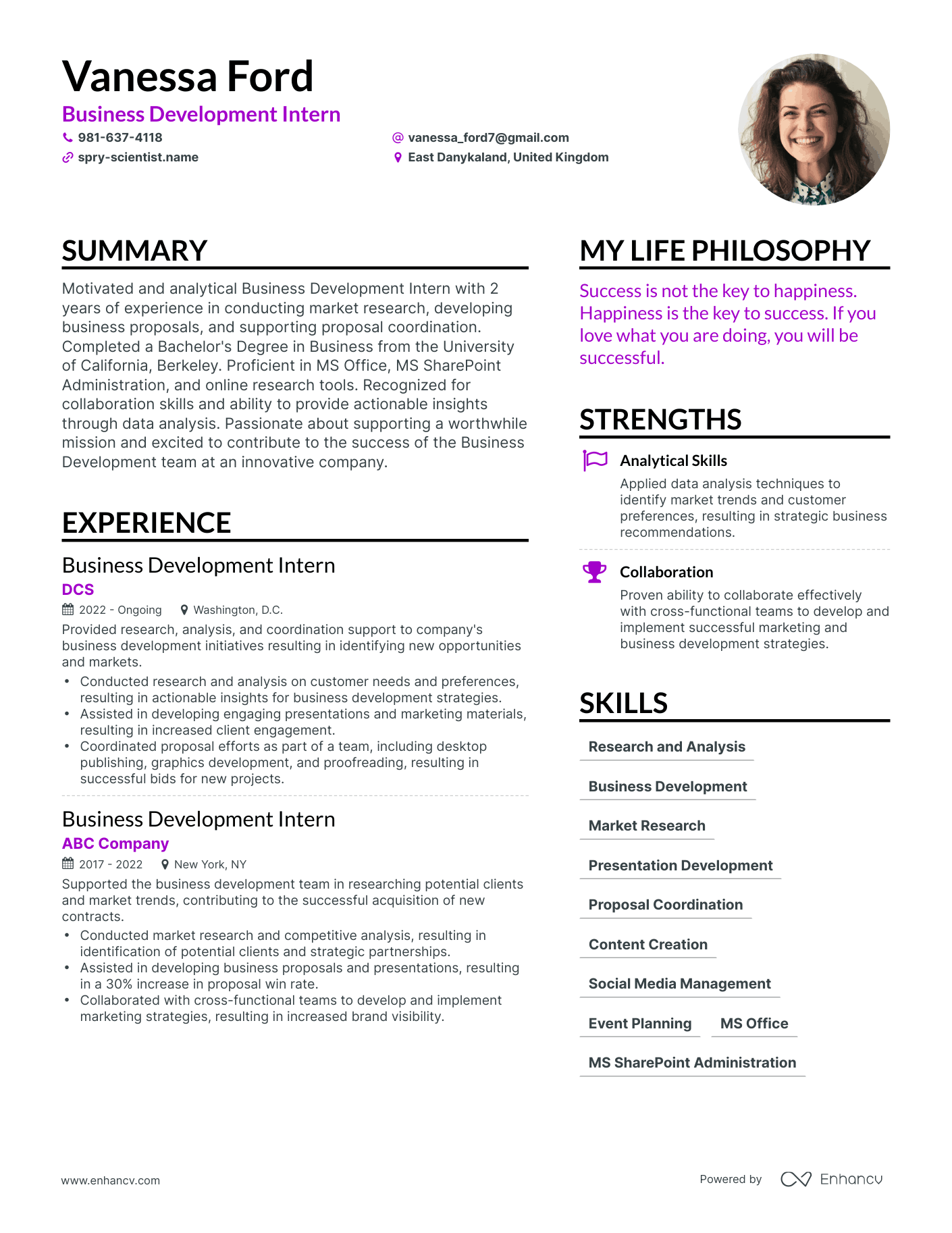 Business Development Intern resume example