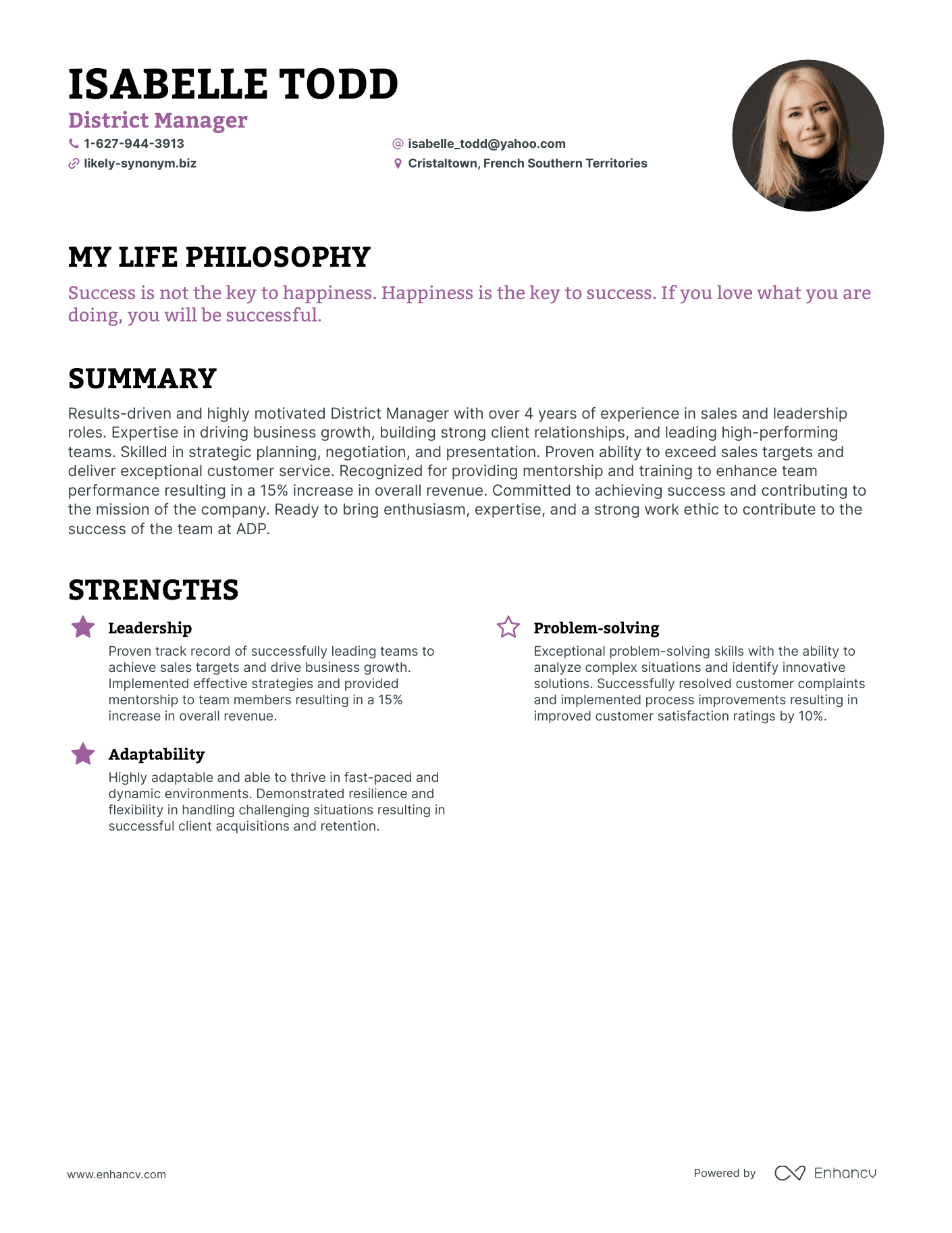 Creative District Manager Resume Example