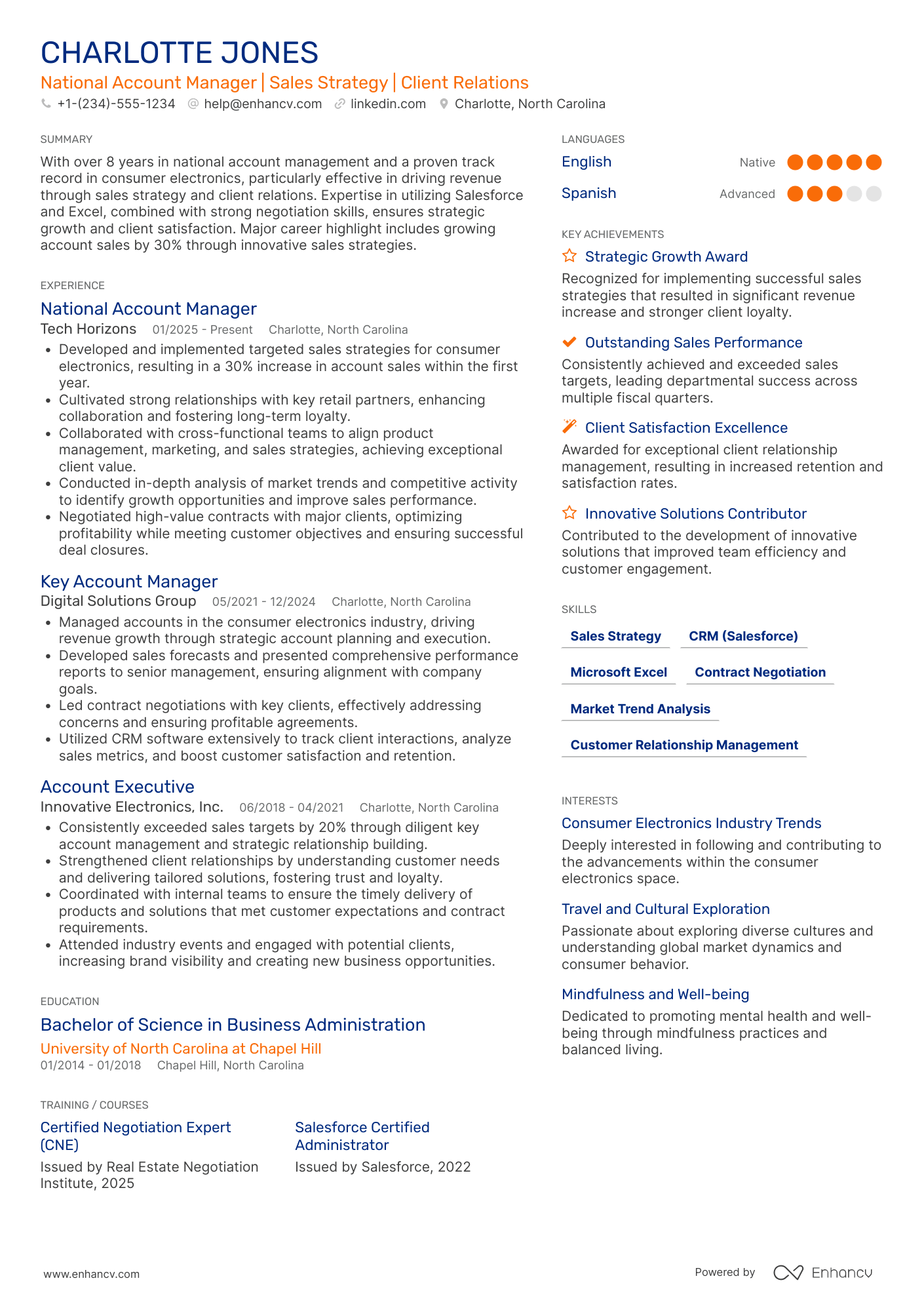 National Account Manager resume example