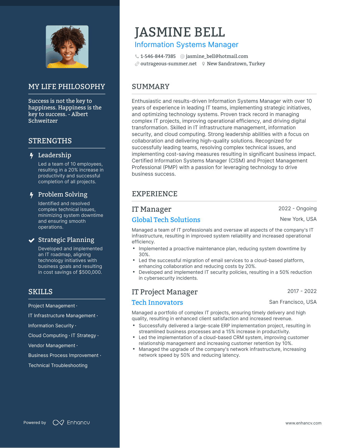 Information Systems Manager resume example