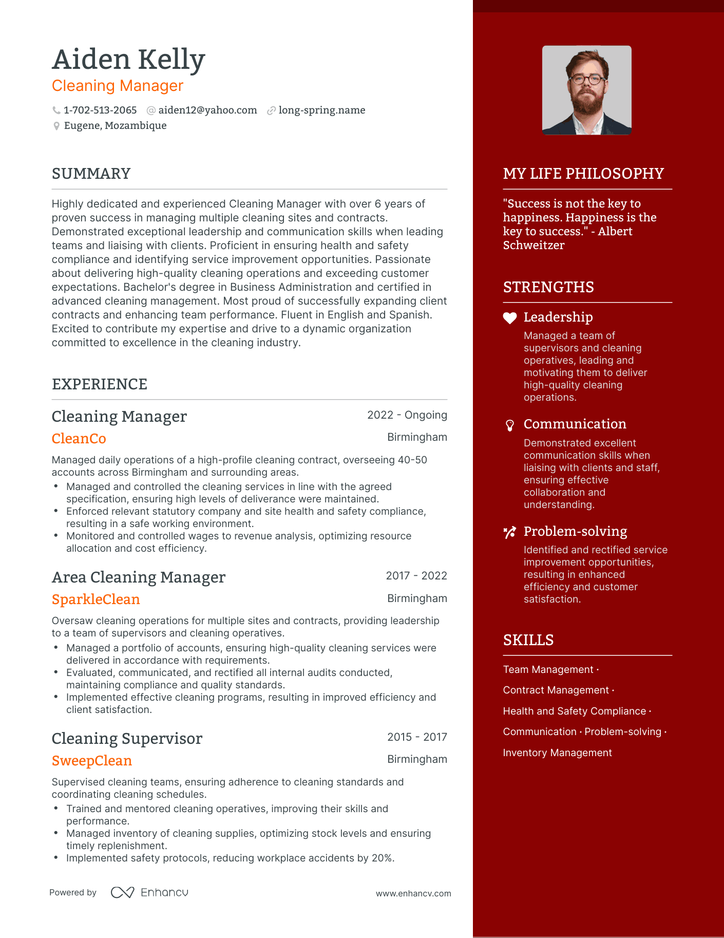 Modern Cleaning Manager Resume Example