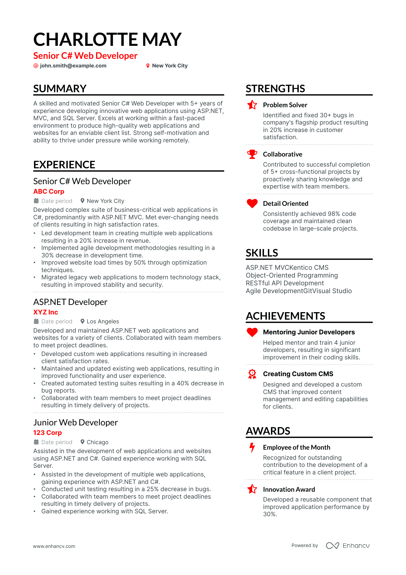 Asp.Net Developer resume example