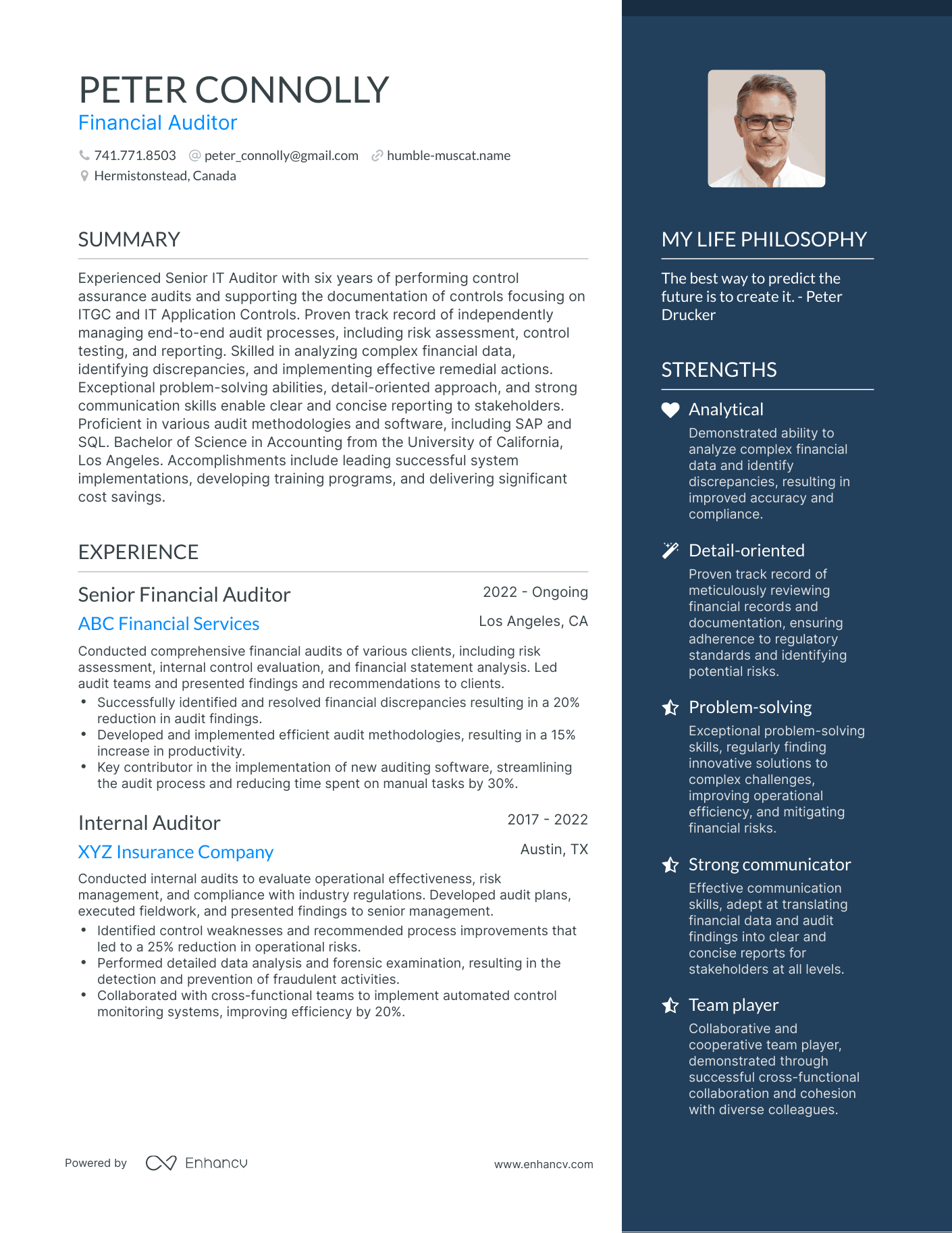 Modern Financial Auditor Resume Example