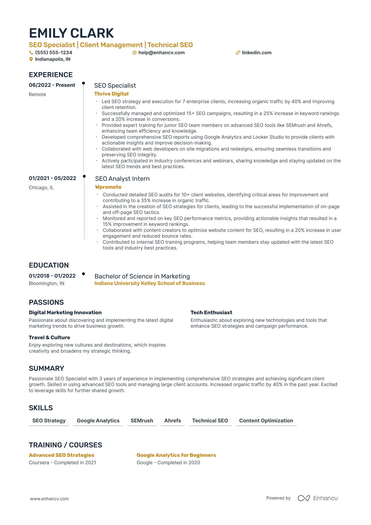 SEO Director resume example