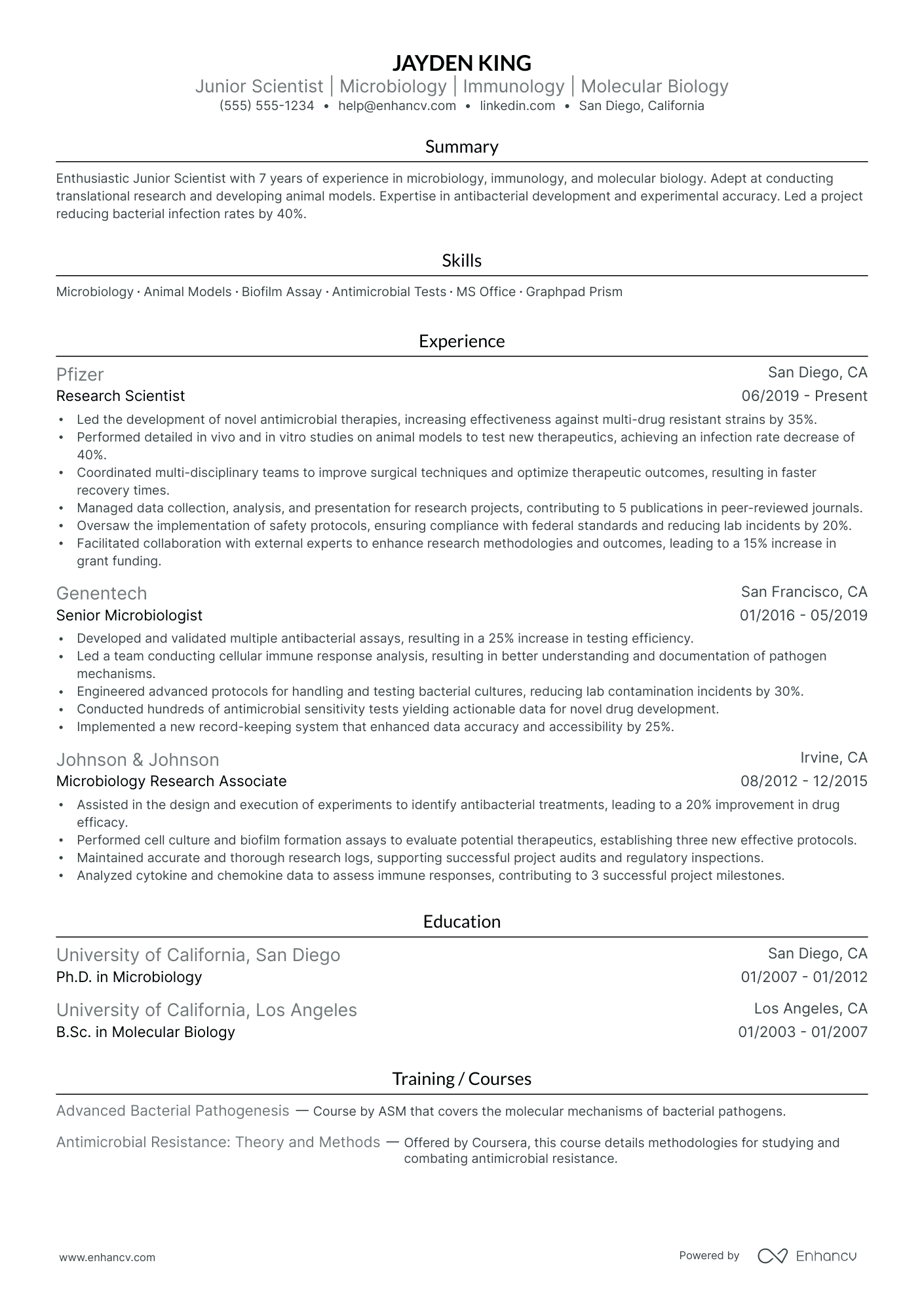 Junior Research Scientist resume example