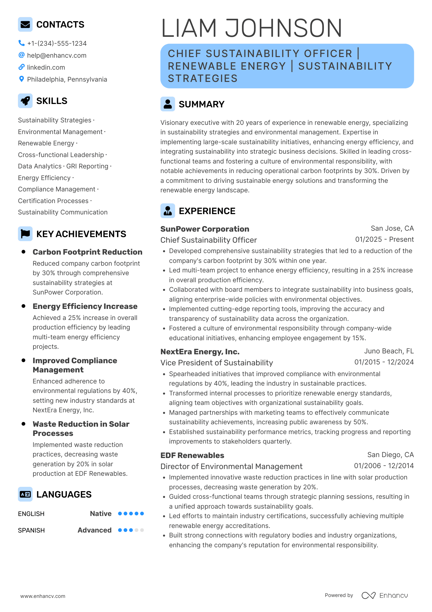 Chief Sustainability Officer resume example