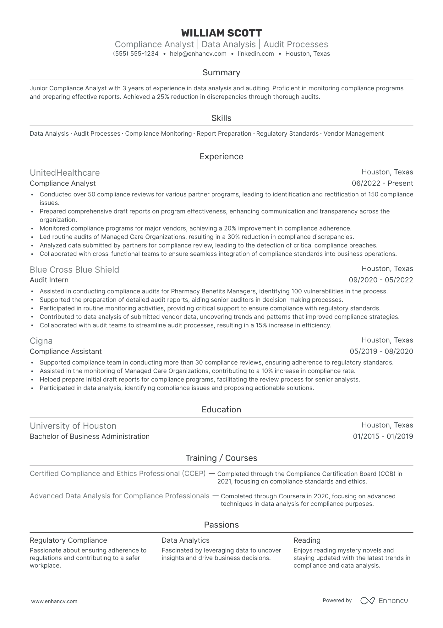 External Auditor Resume Example Resume Example