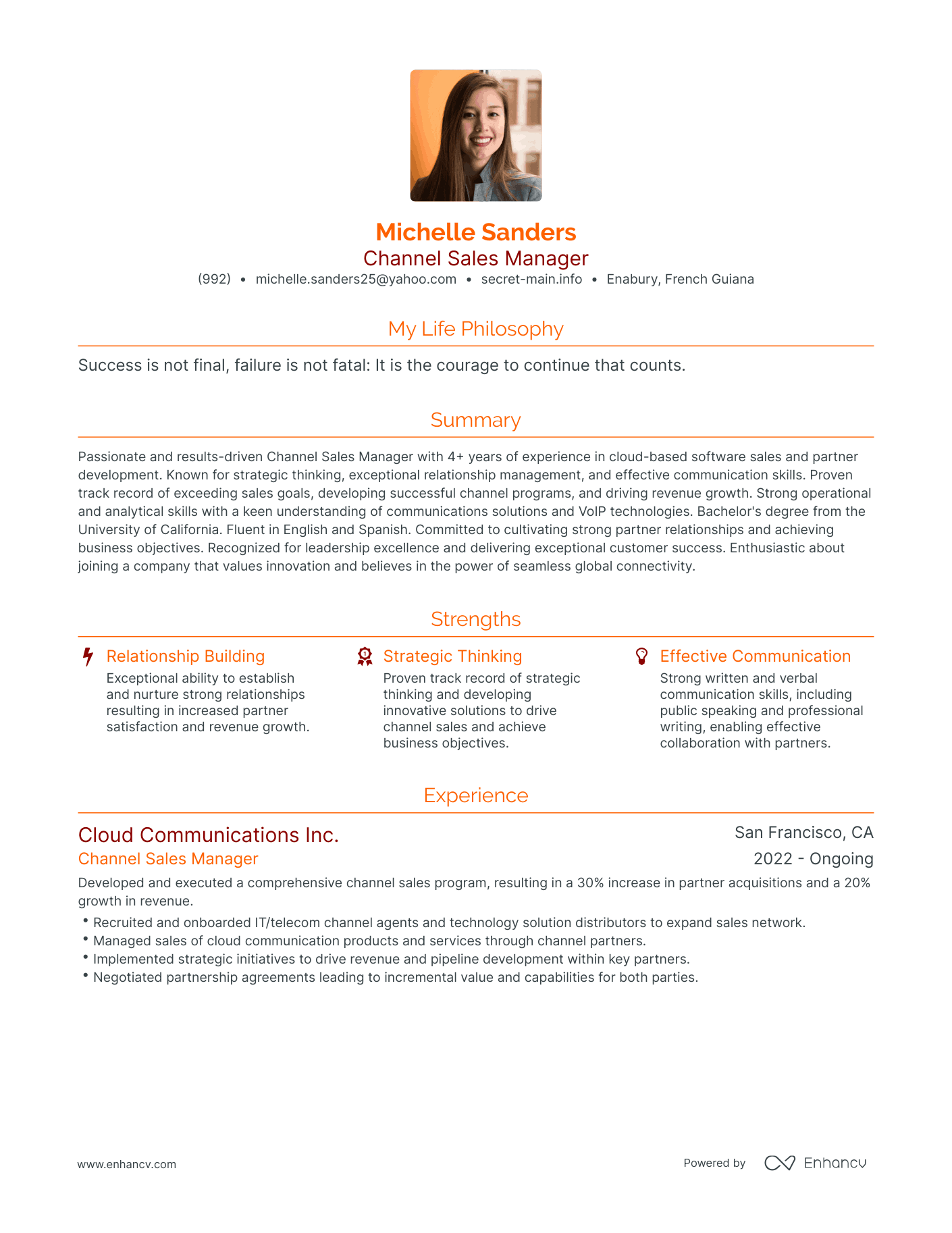 Modern Channel Sales Manager Resume Example