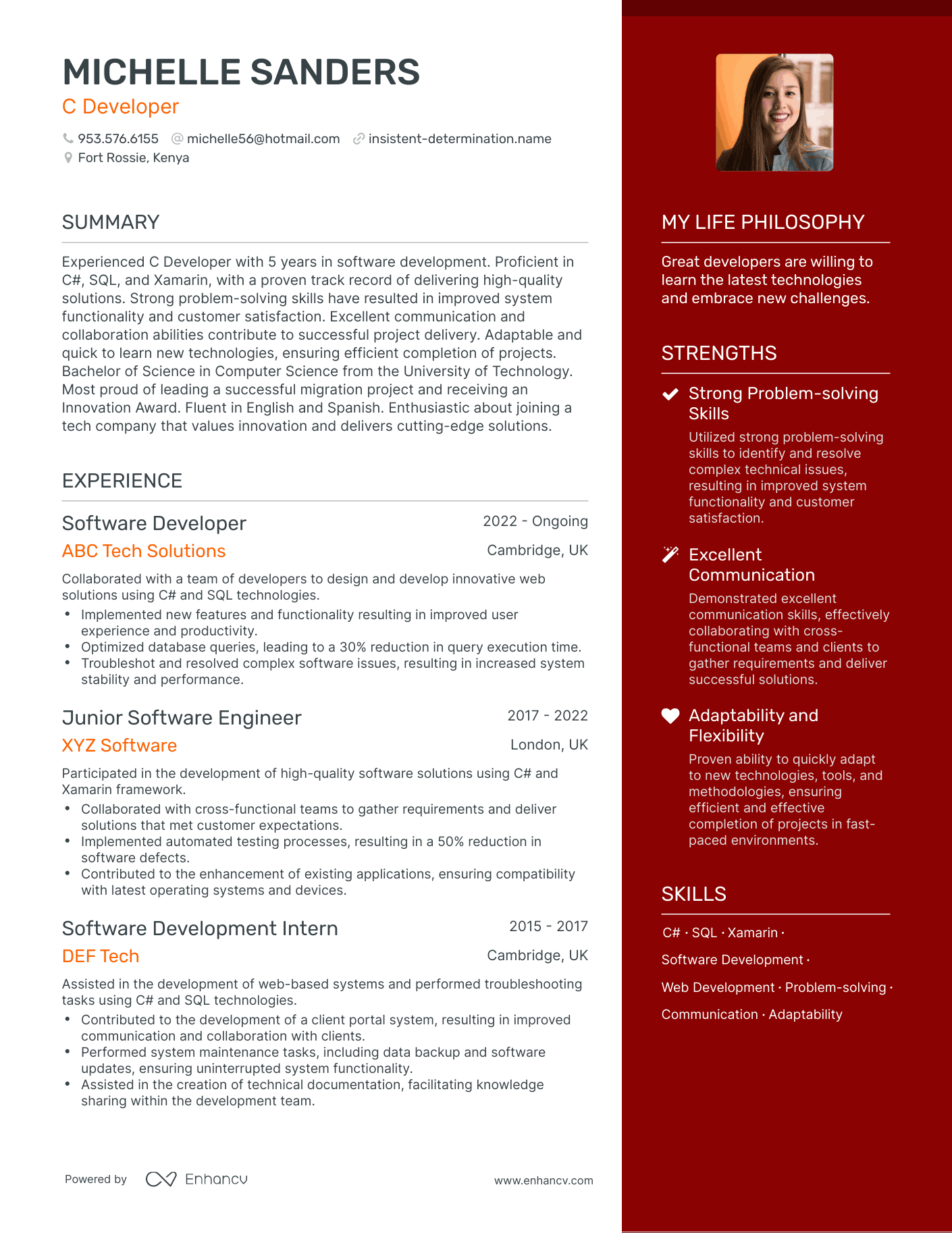 C Developer resume example