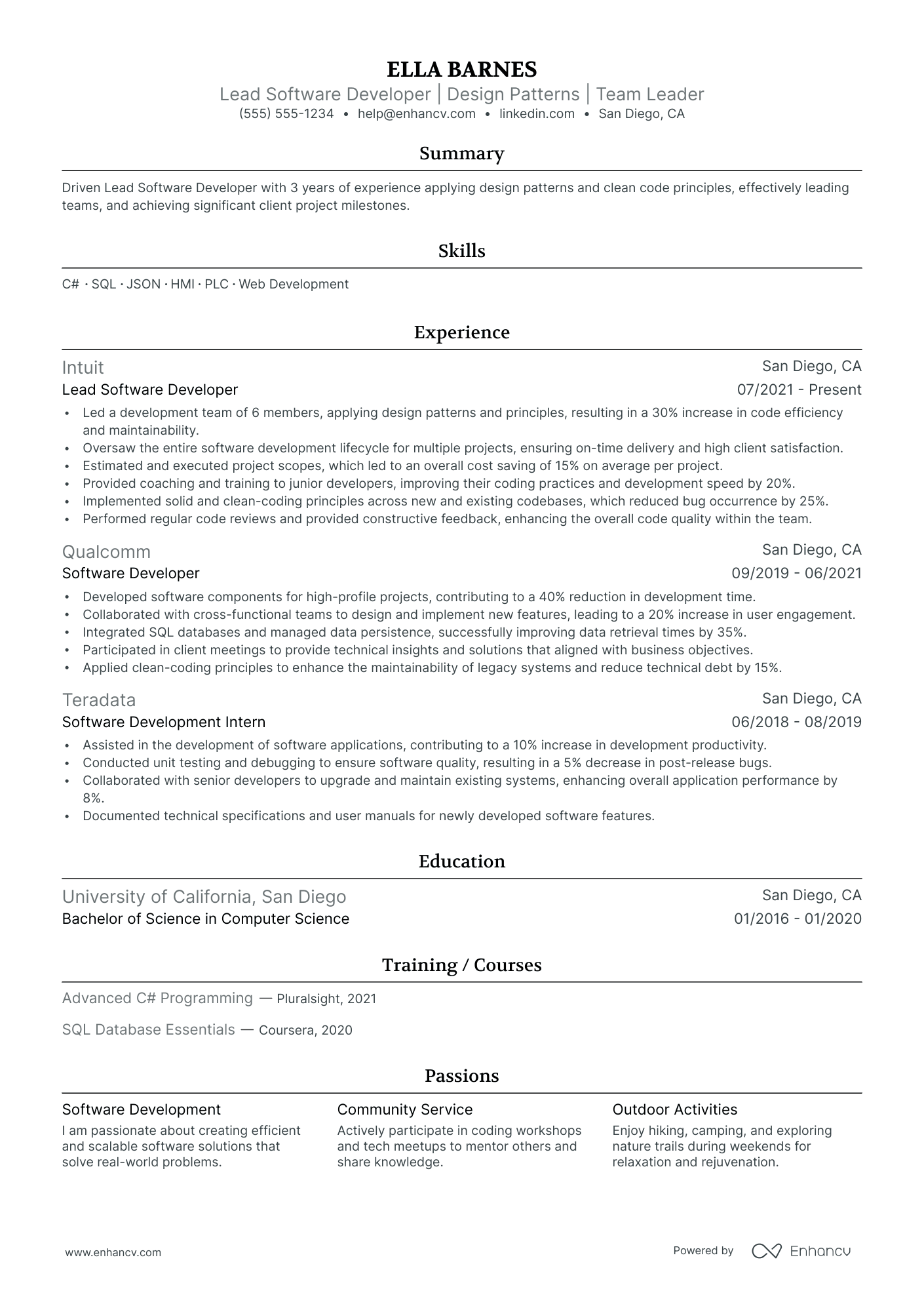 Lead Software Developer resume example