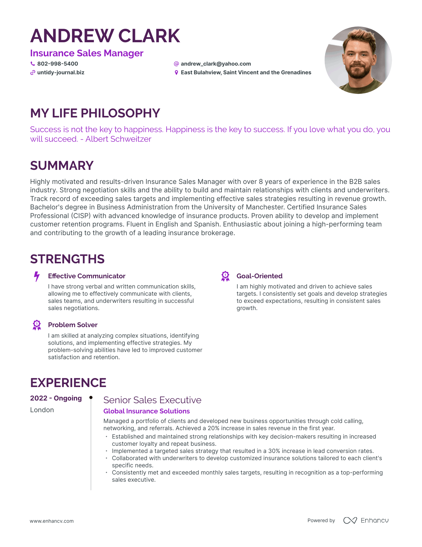 Creative Insurance Sales Manager Resume Example