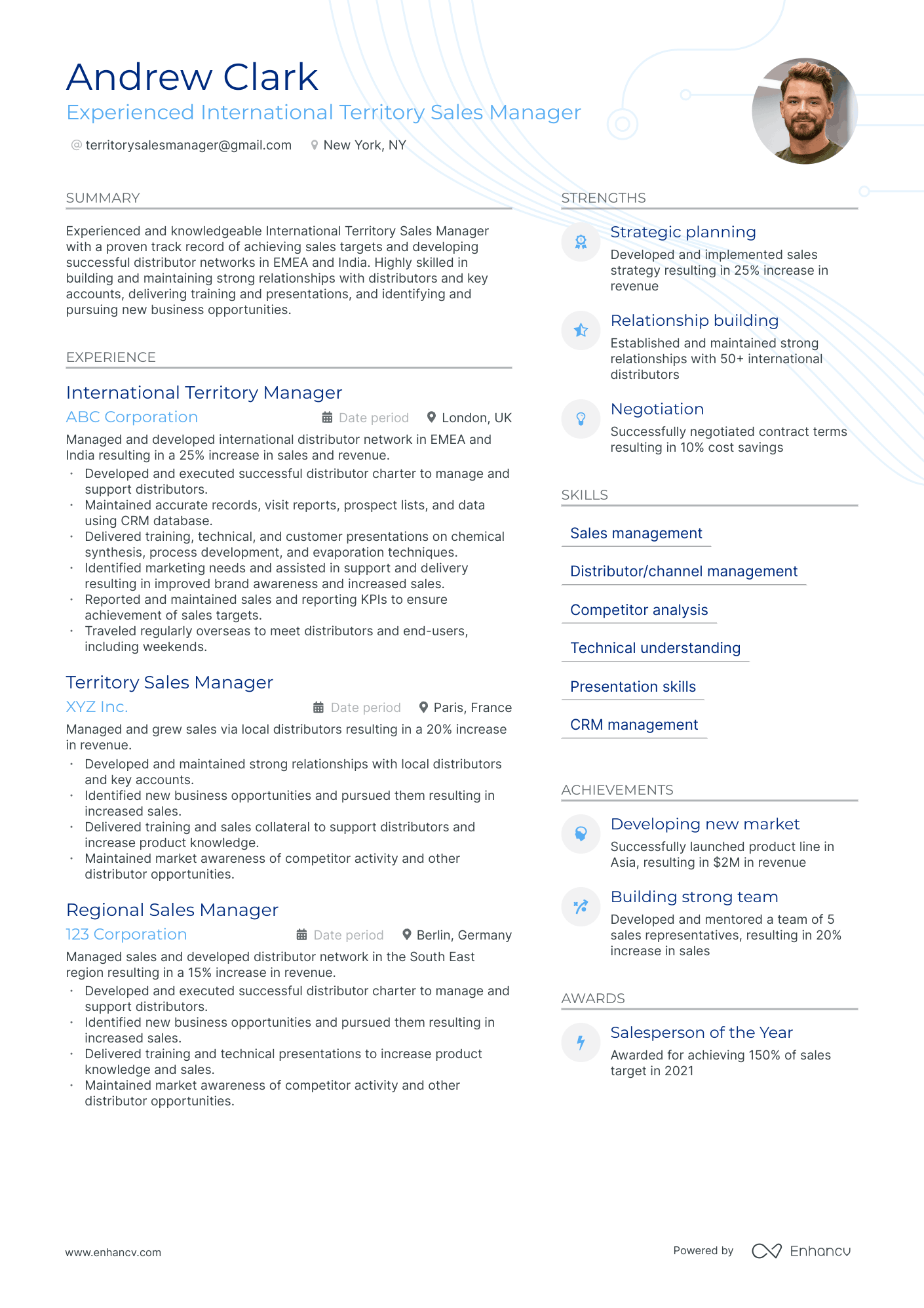 territory sales manager resume example