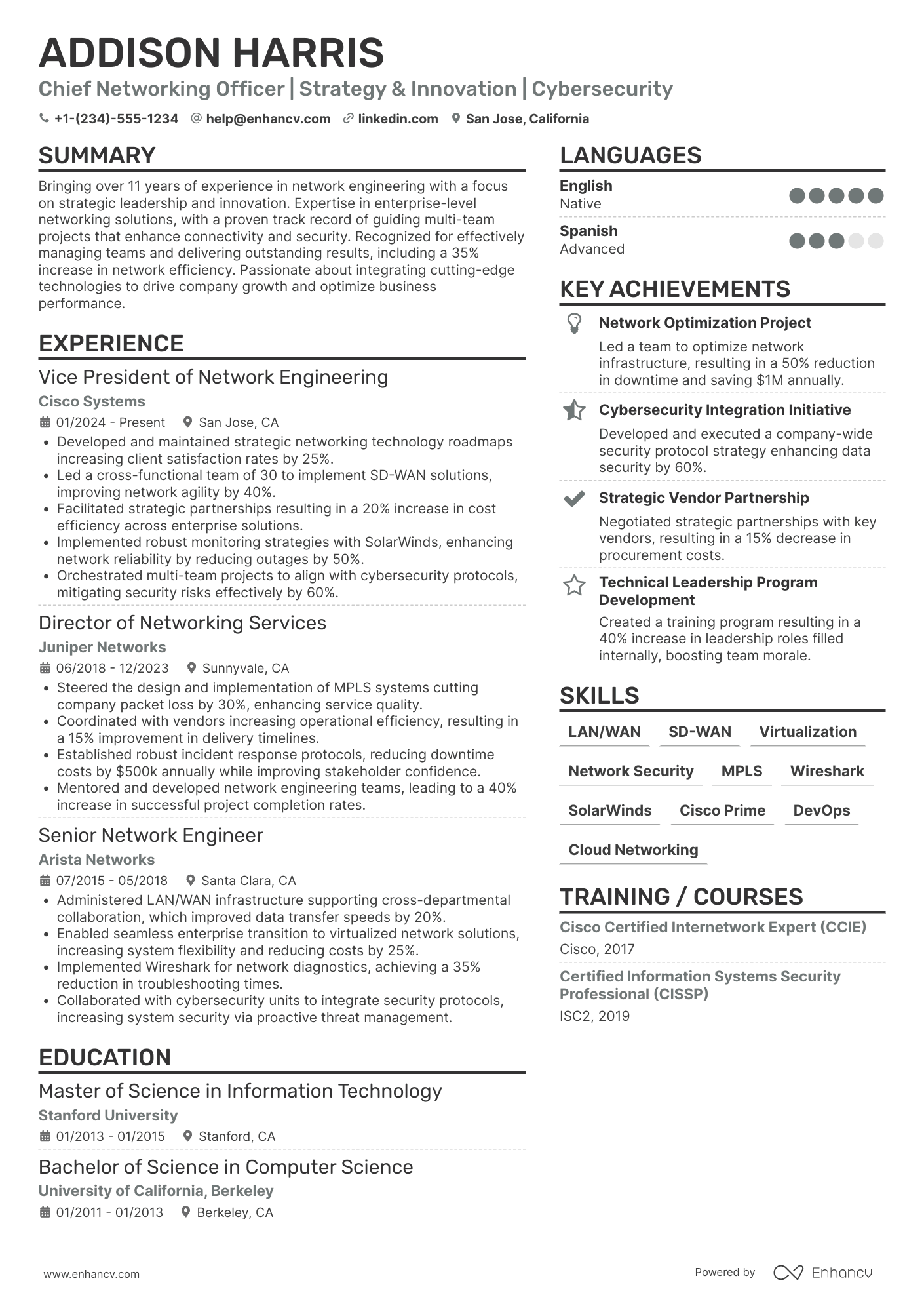 Chief Networking Officer resume example