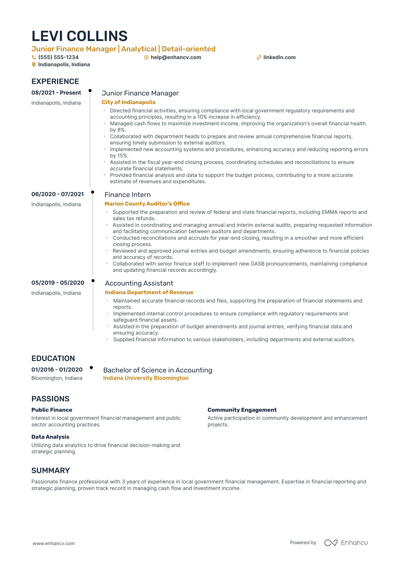 Interim Finance Director resume example