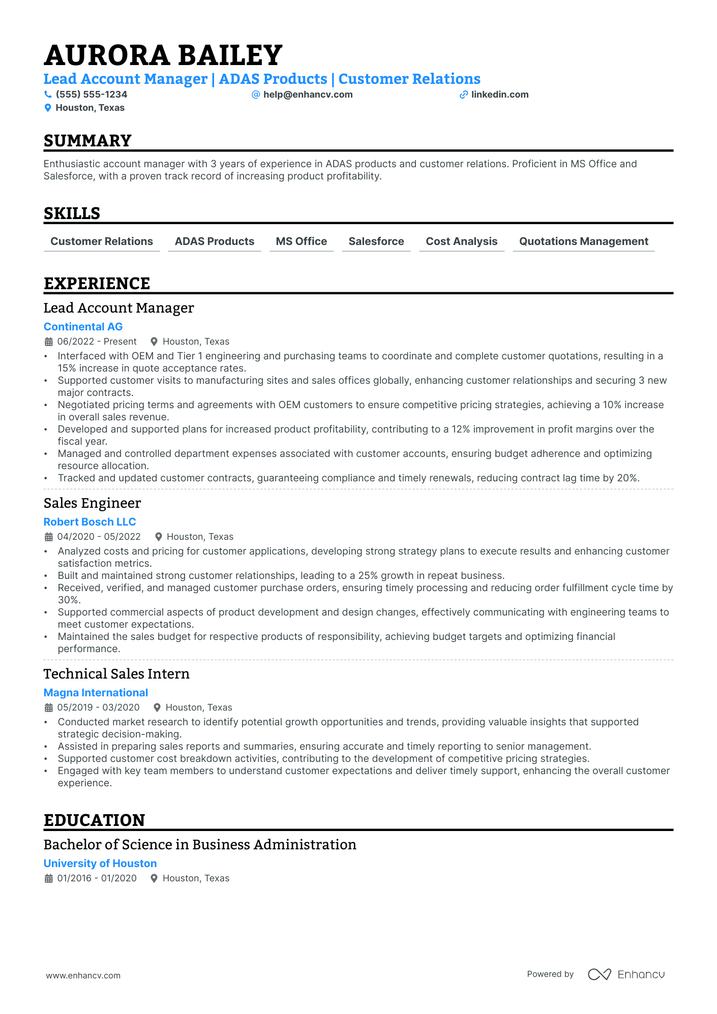 Lead Account Executive resume example