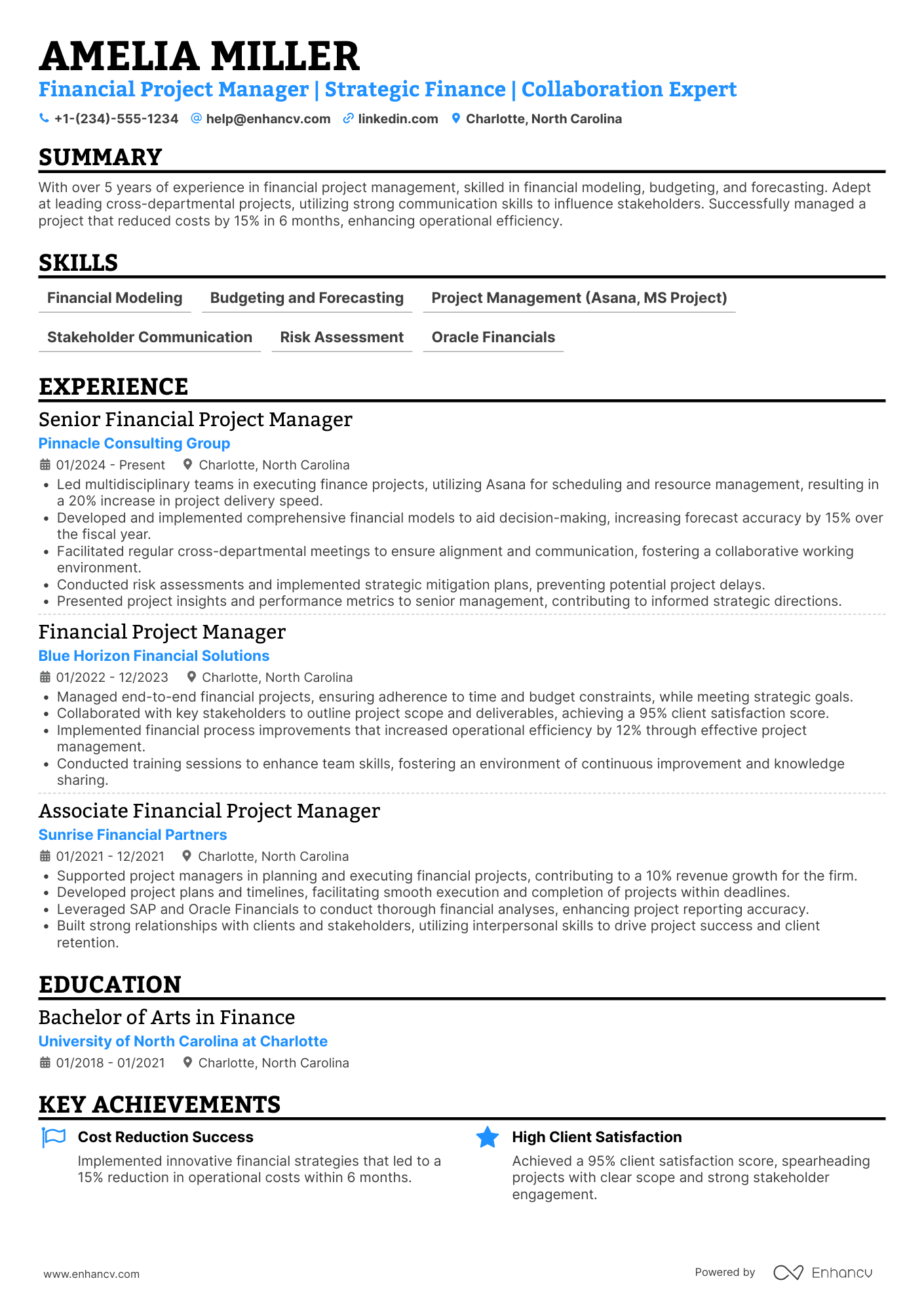 Financial Project Manager resume example