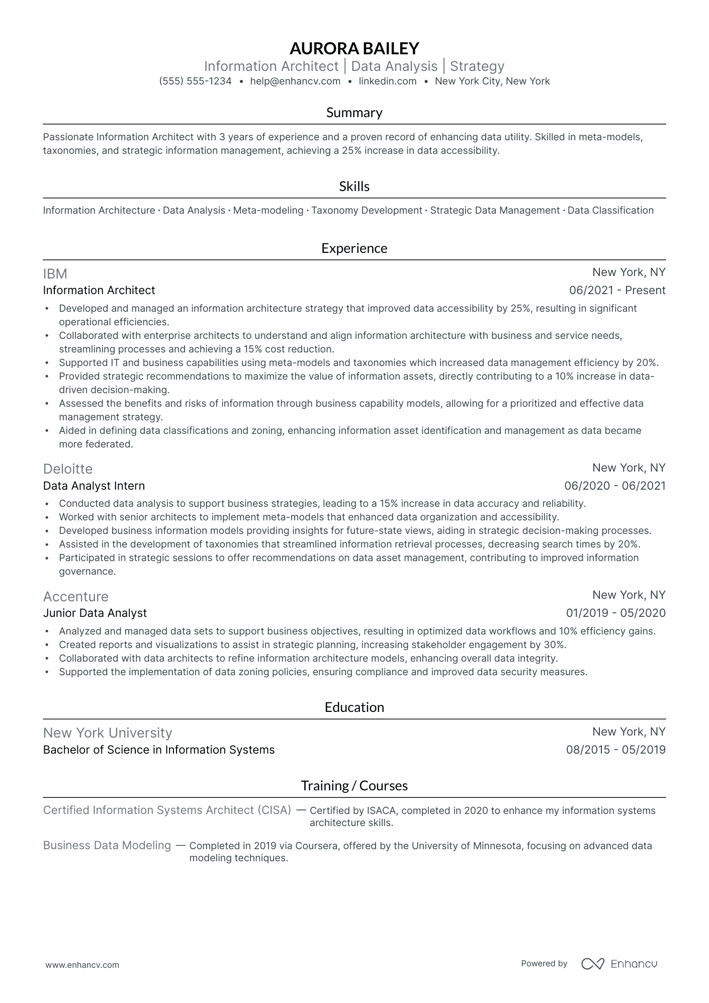 Information Architect resume example