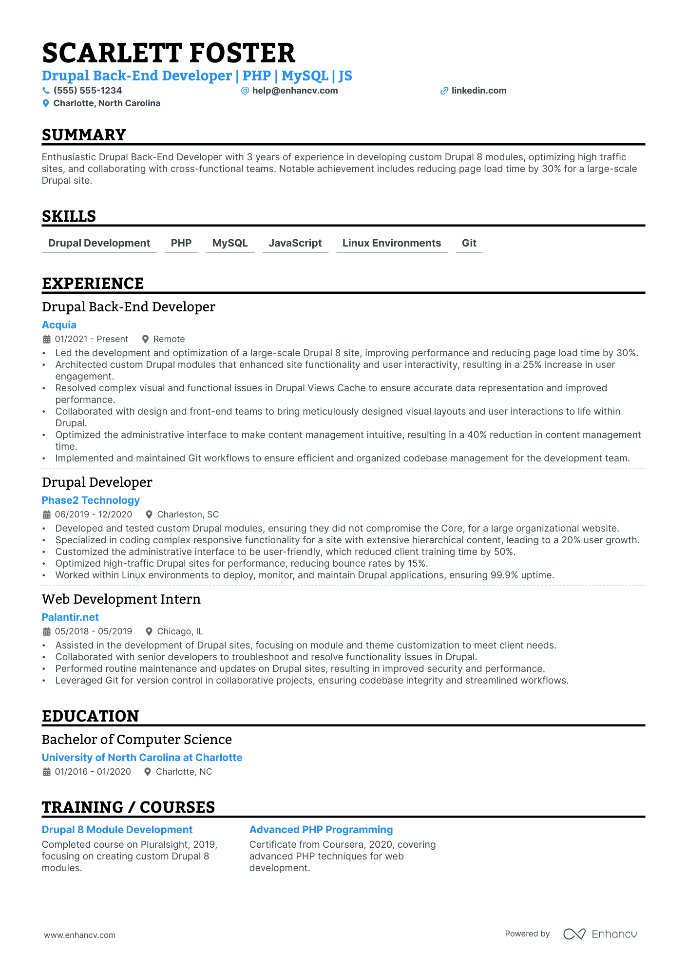 Freelance Programmer resume example