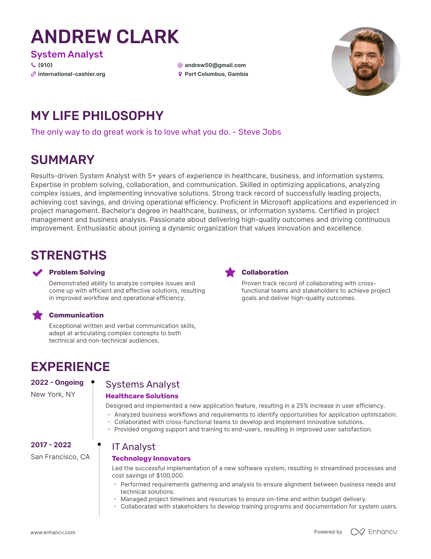 Creative System Analyst Resume Example