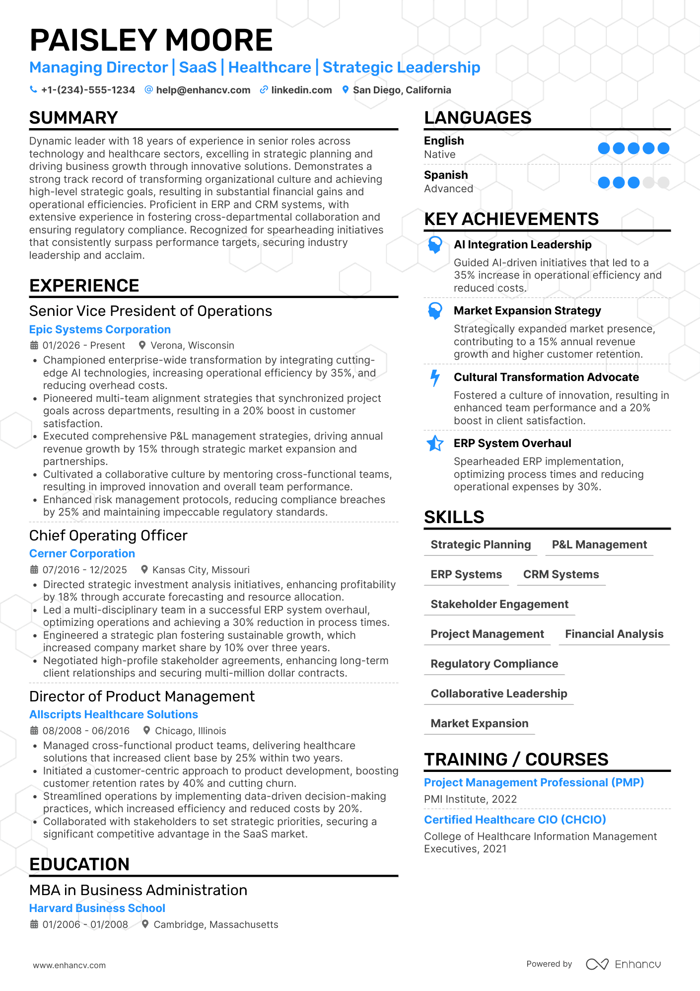 Managing Director resume example