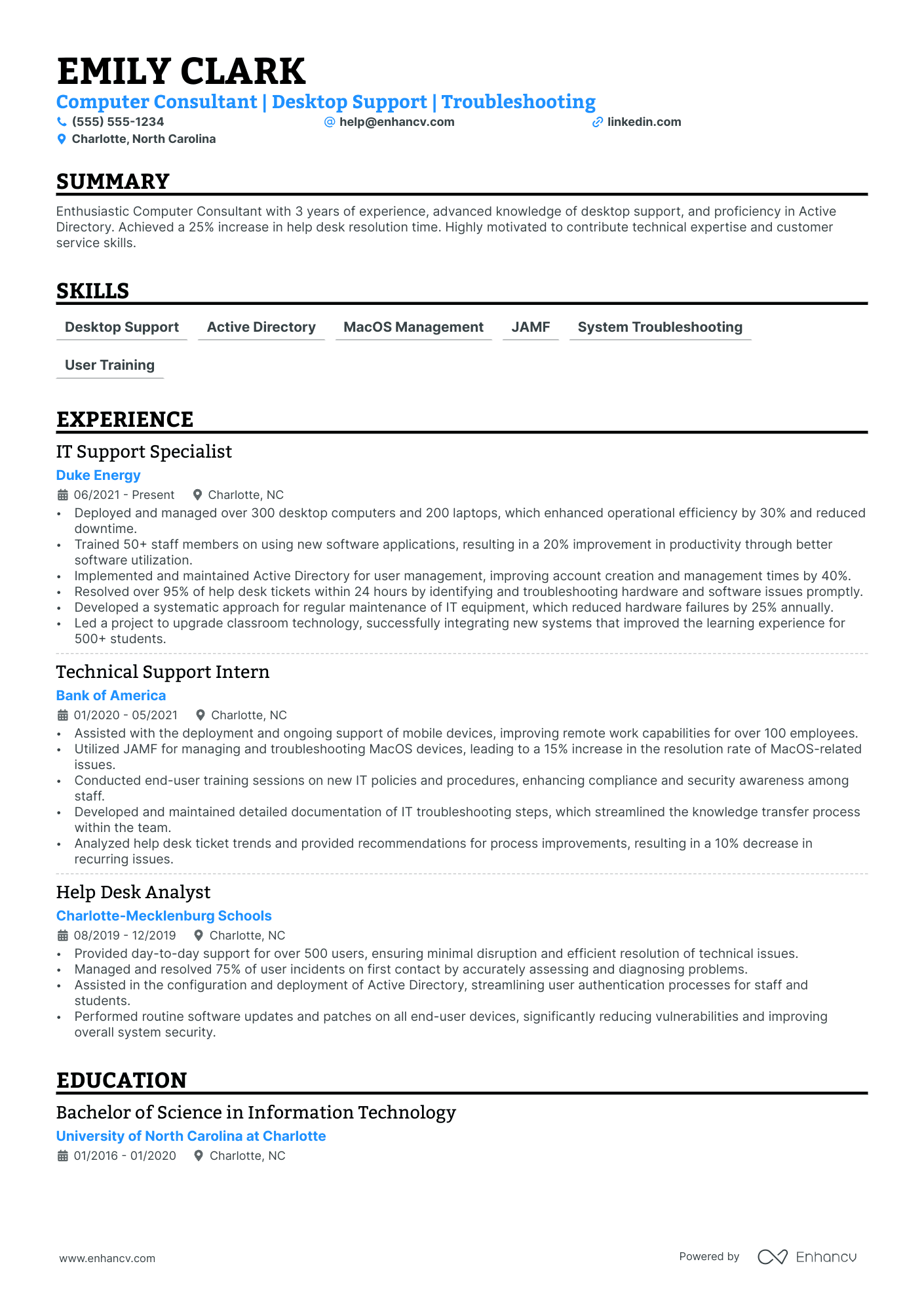 Computer Science Consultant resume example